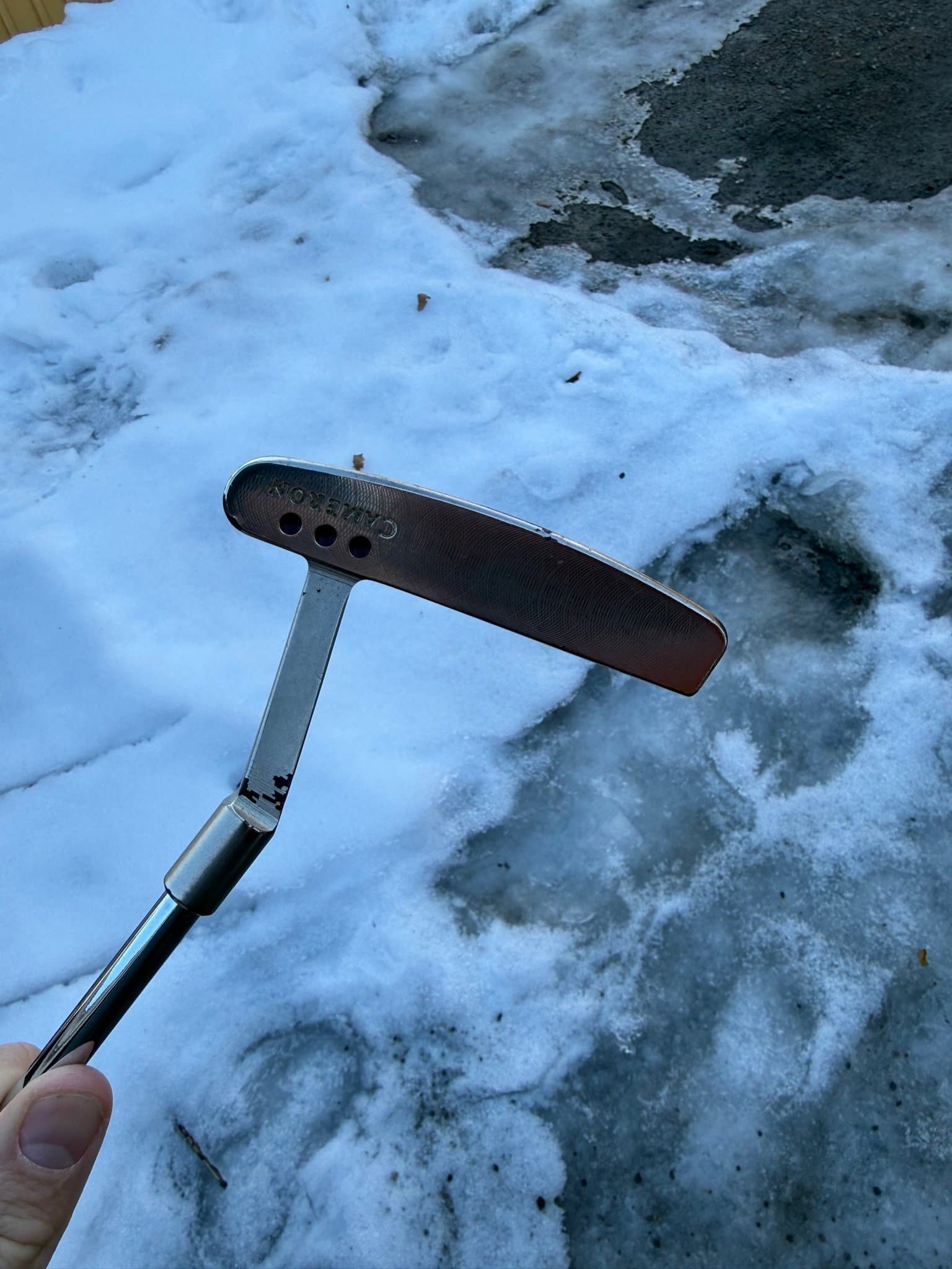 Scotty Cameron Laguna Pro Platinum Putter