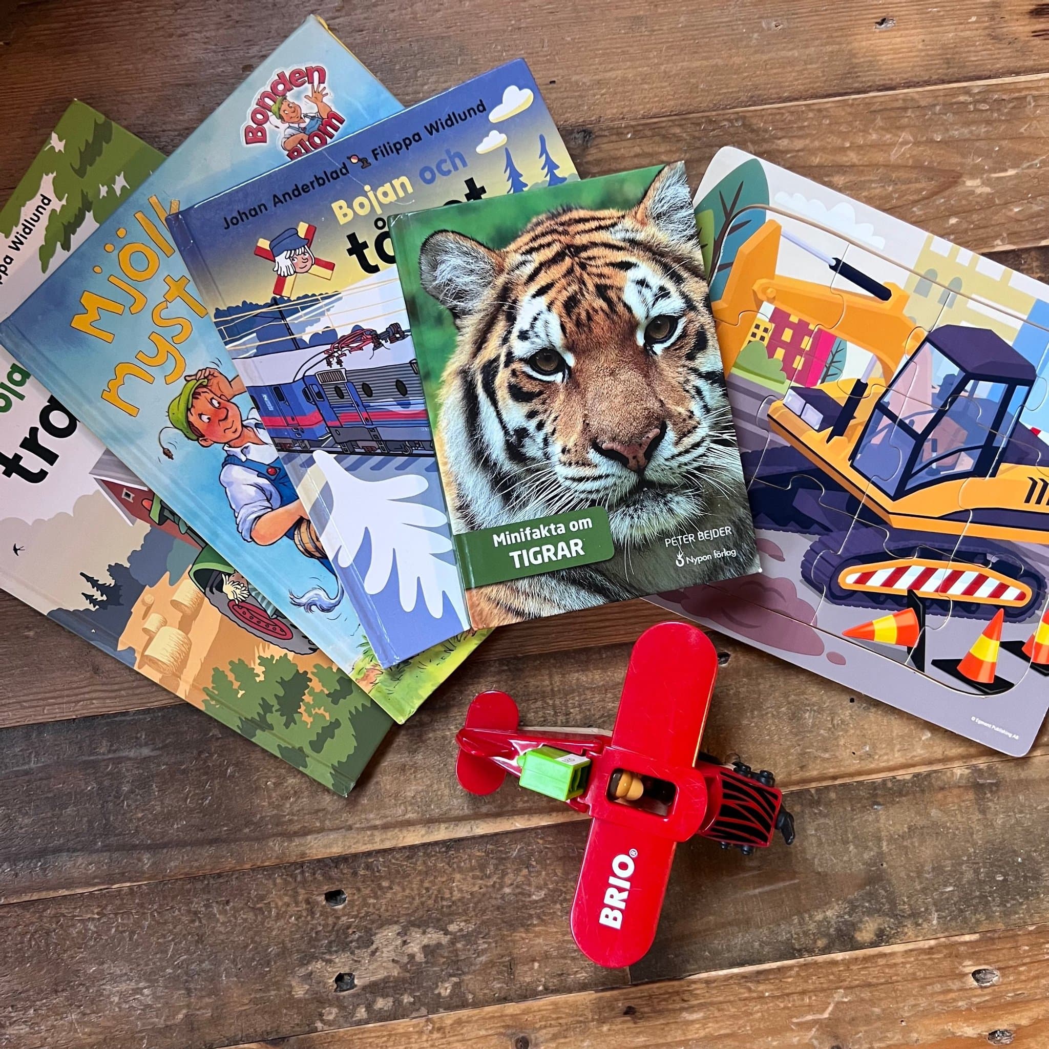 Blandat till yngre barn med BRIO-flygplan