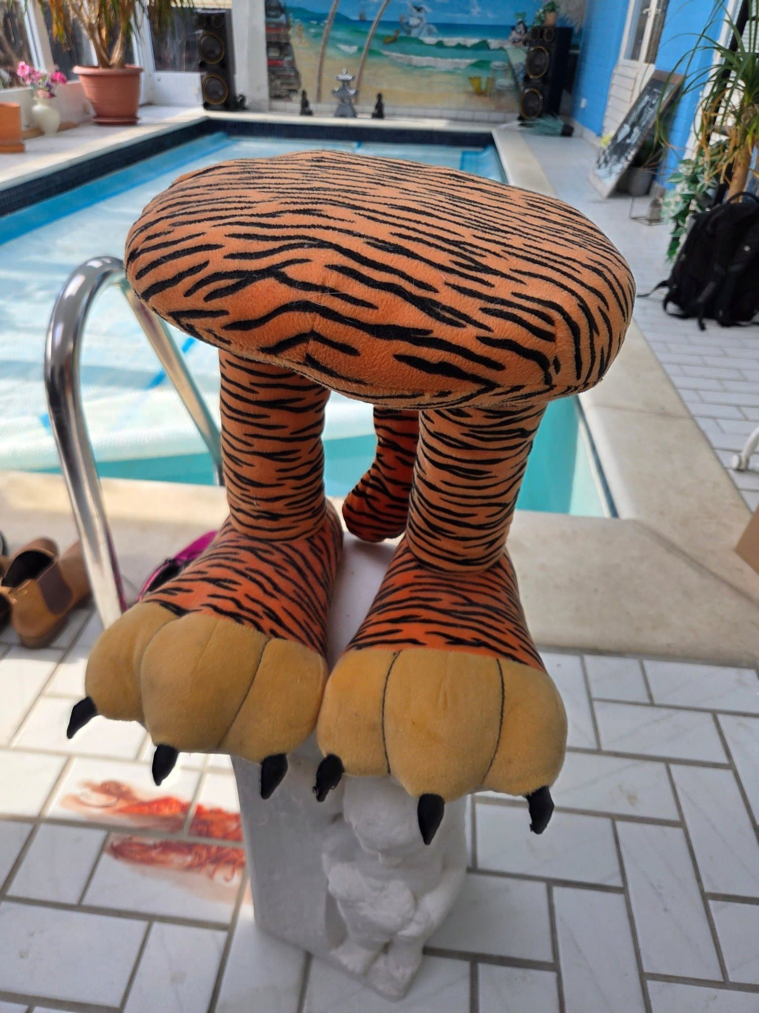 Pall av tiger fötter