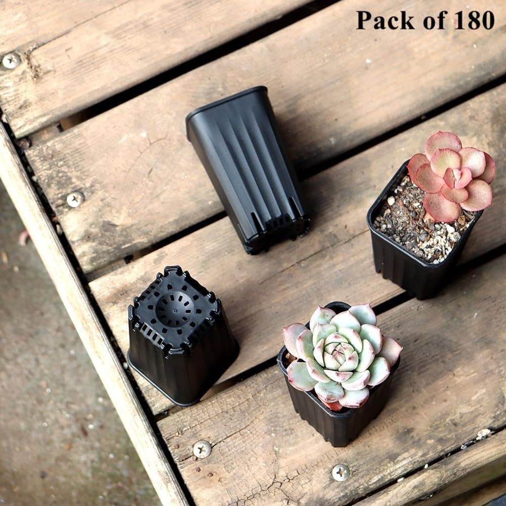 Planteringskrukor Mått 4.95x4.95cm Höjd 8cm 180st Stadiga