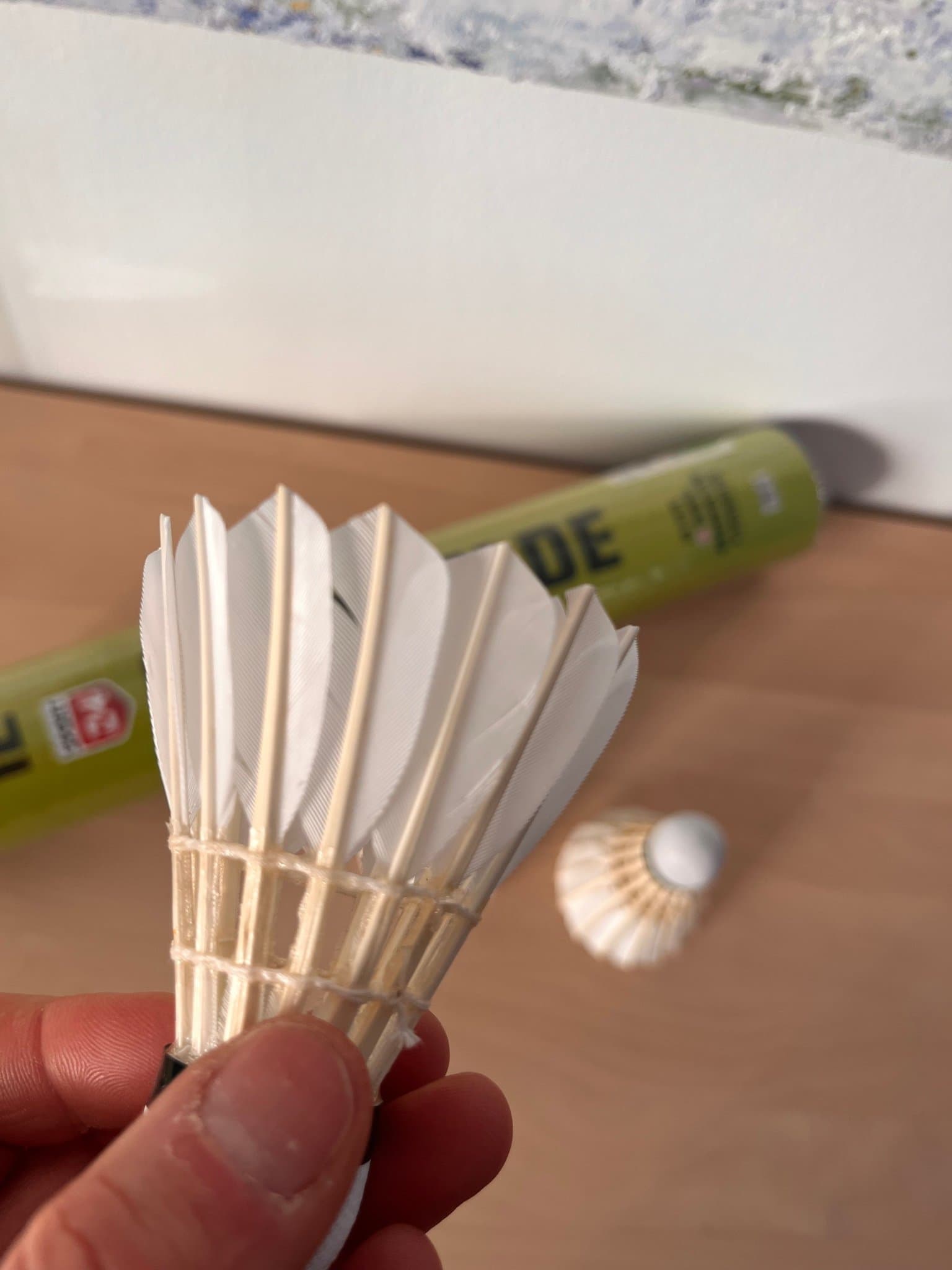 SPORT 24 Fjäderbollar - Nya/Nyskick