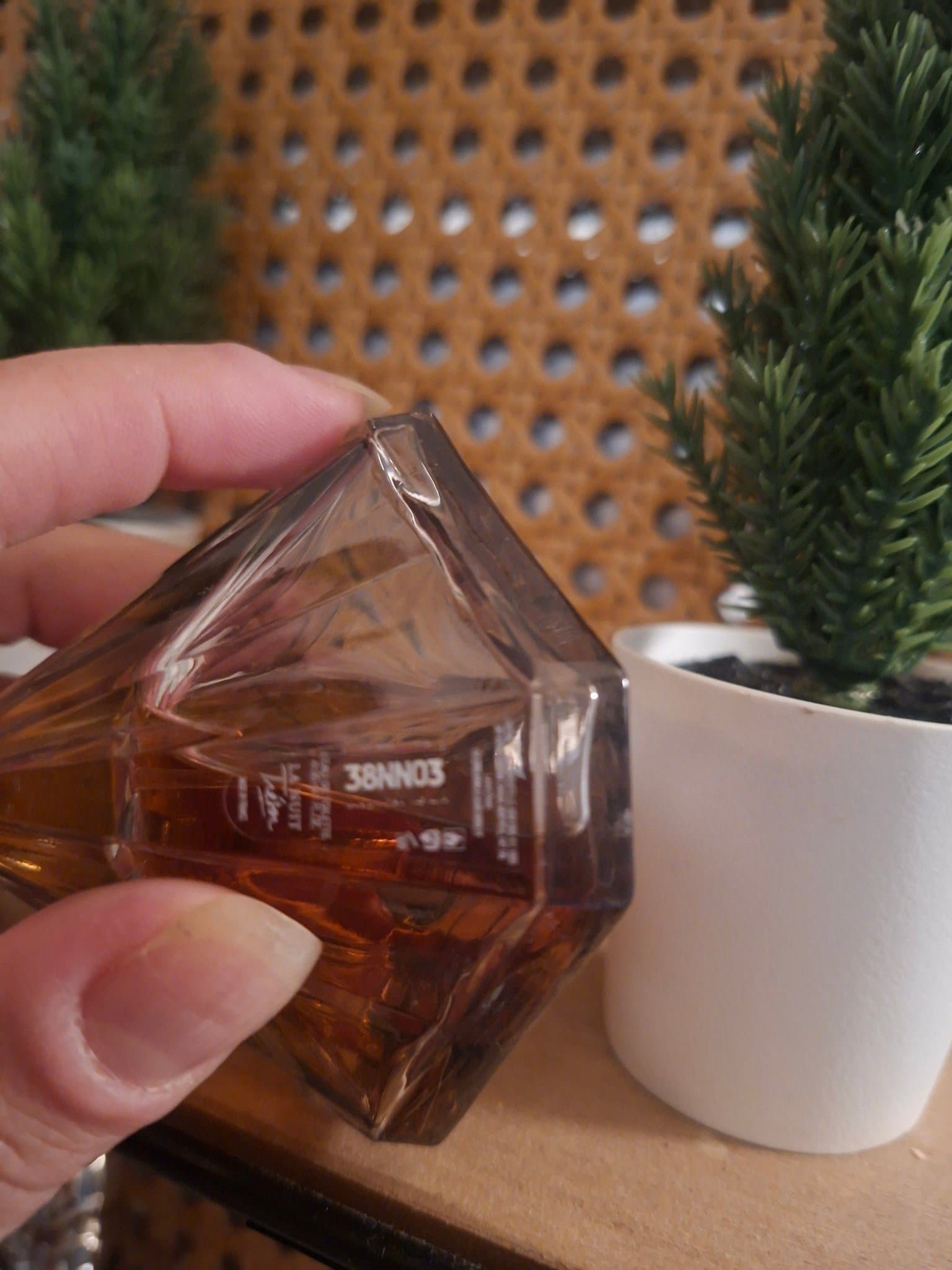 Konstgjord cypress i vit kruka