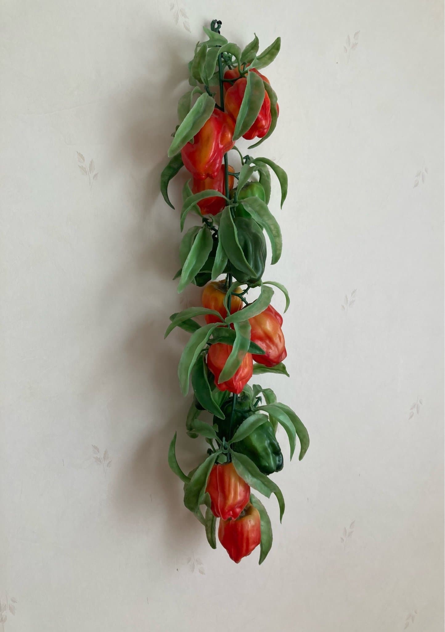 Konstväxt chilipeppar ranka vintage!