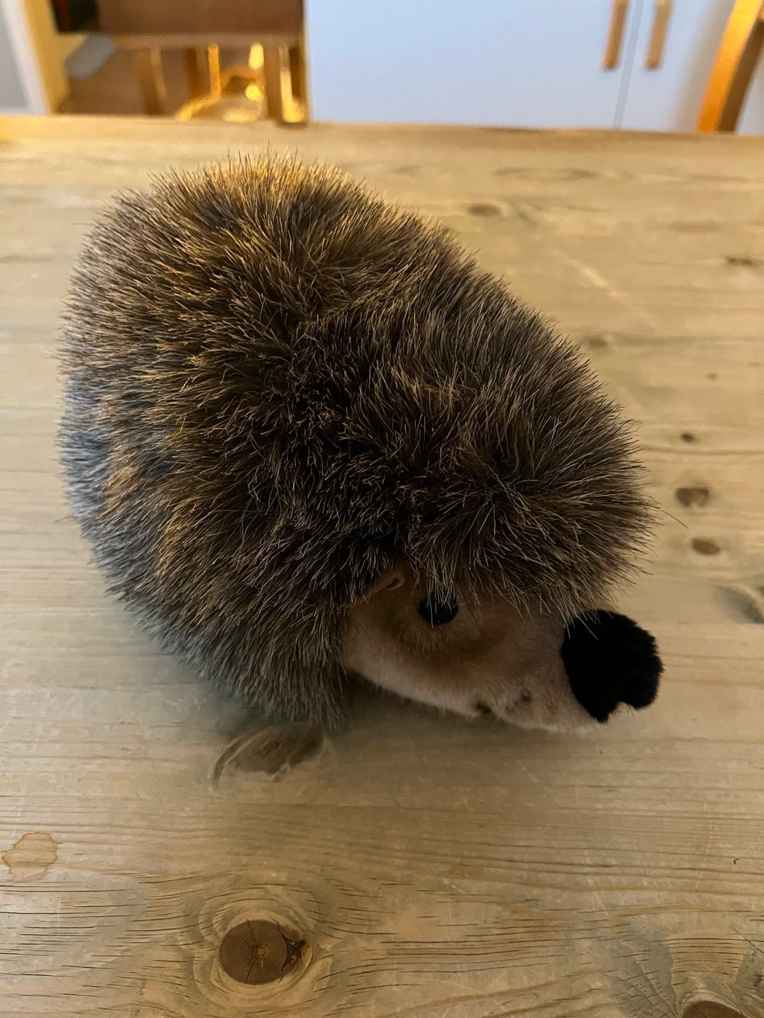 Steiff Joggi Igelkott