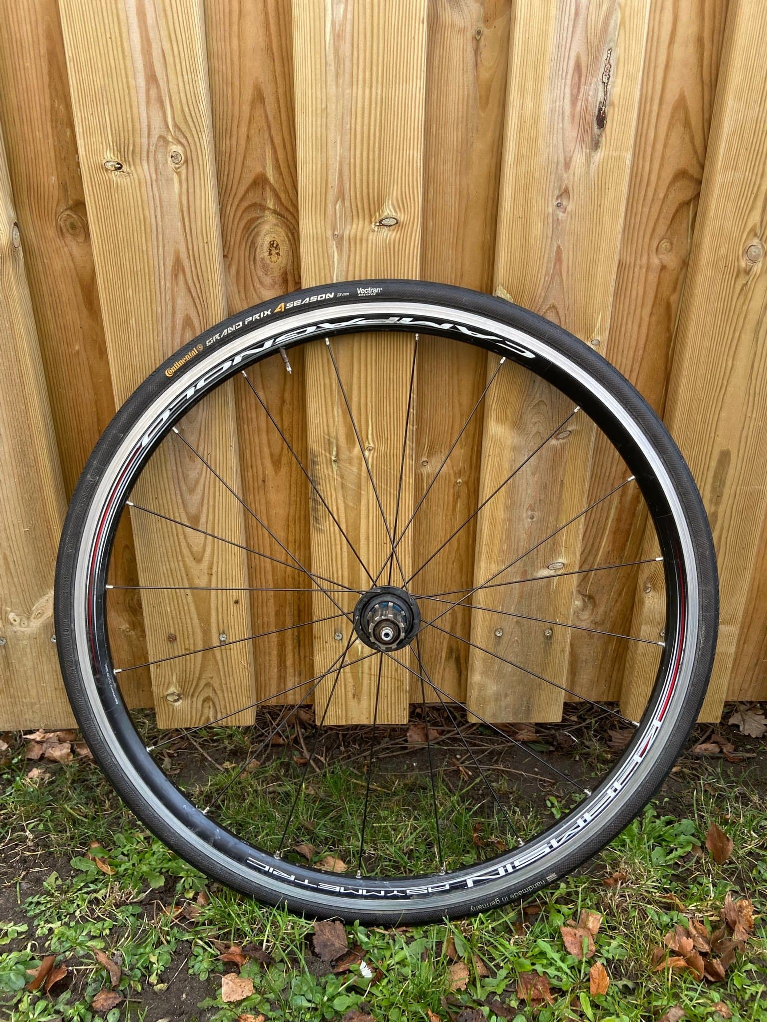 Campagnolo baghjul med Continental dæk