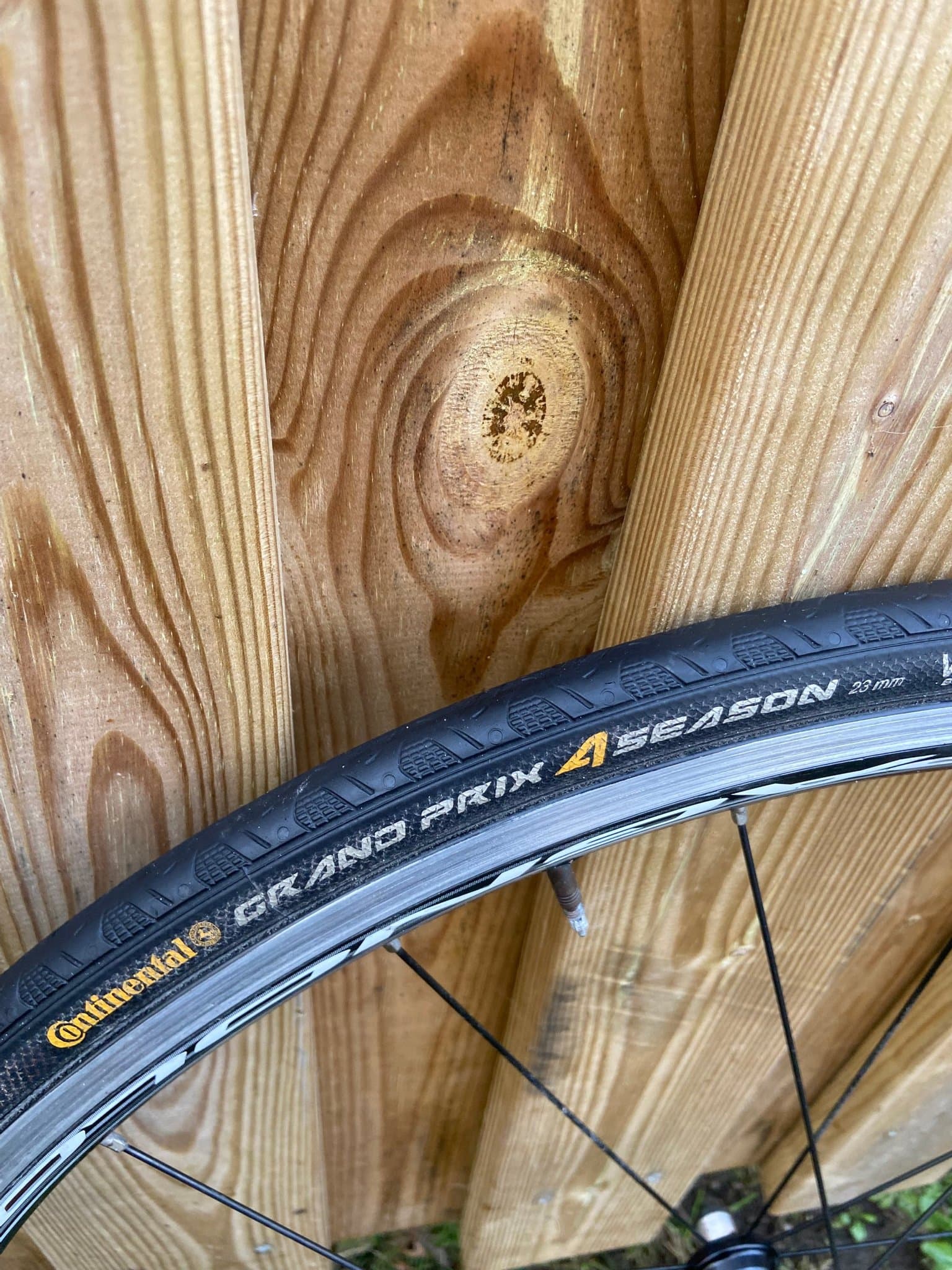 Campagnolo baghjul med Continental dæk