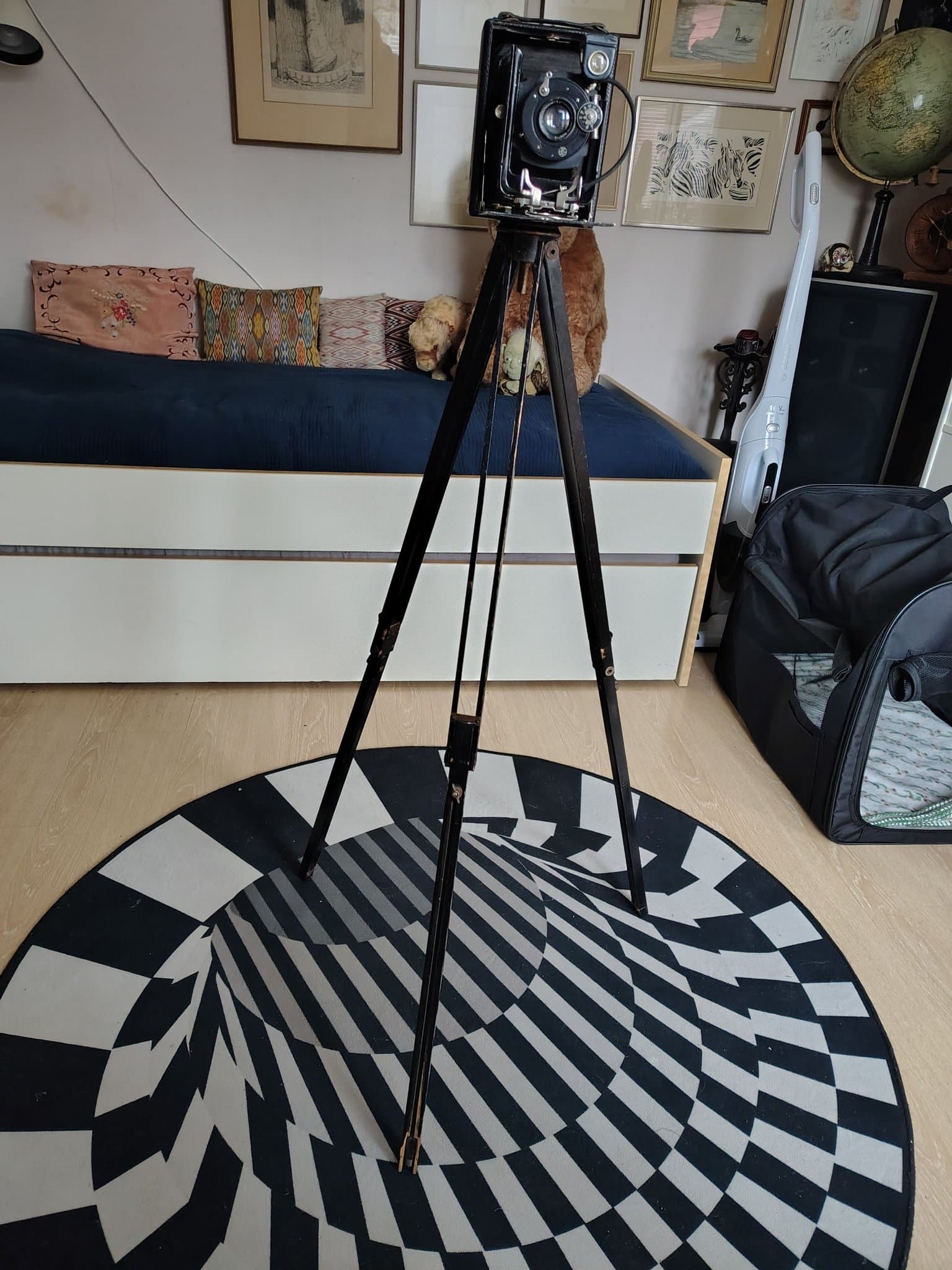 Antik bälgkamera med stativ. Glünz mod.3