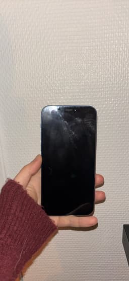 iPhone 12, 64 gb, blå
