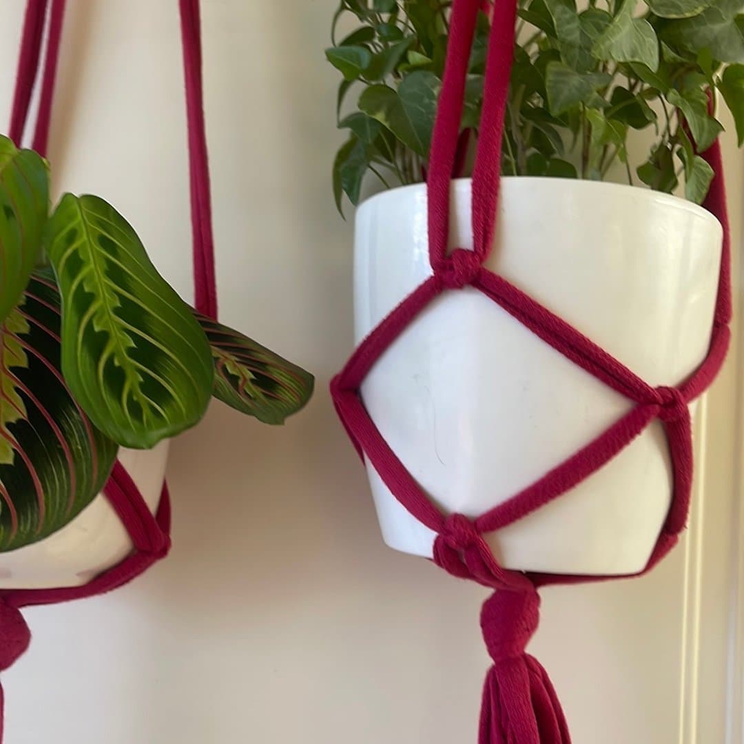 Cerise Amplar för blomkrukor 2 st (13-15 cm)