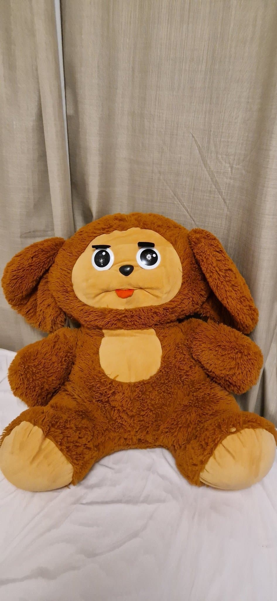 Cheburashka Stor nalle 60x40 cm