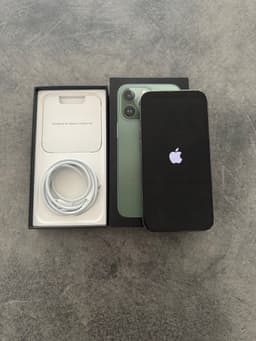 iPhone 13 Pro - Alpine Green