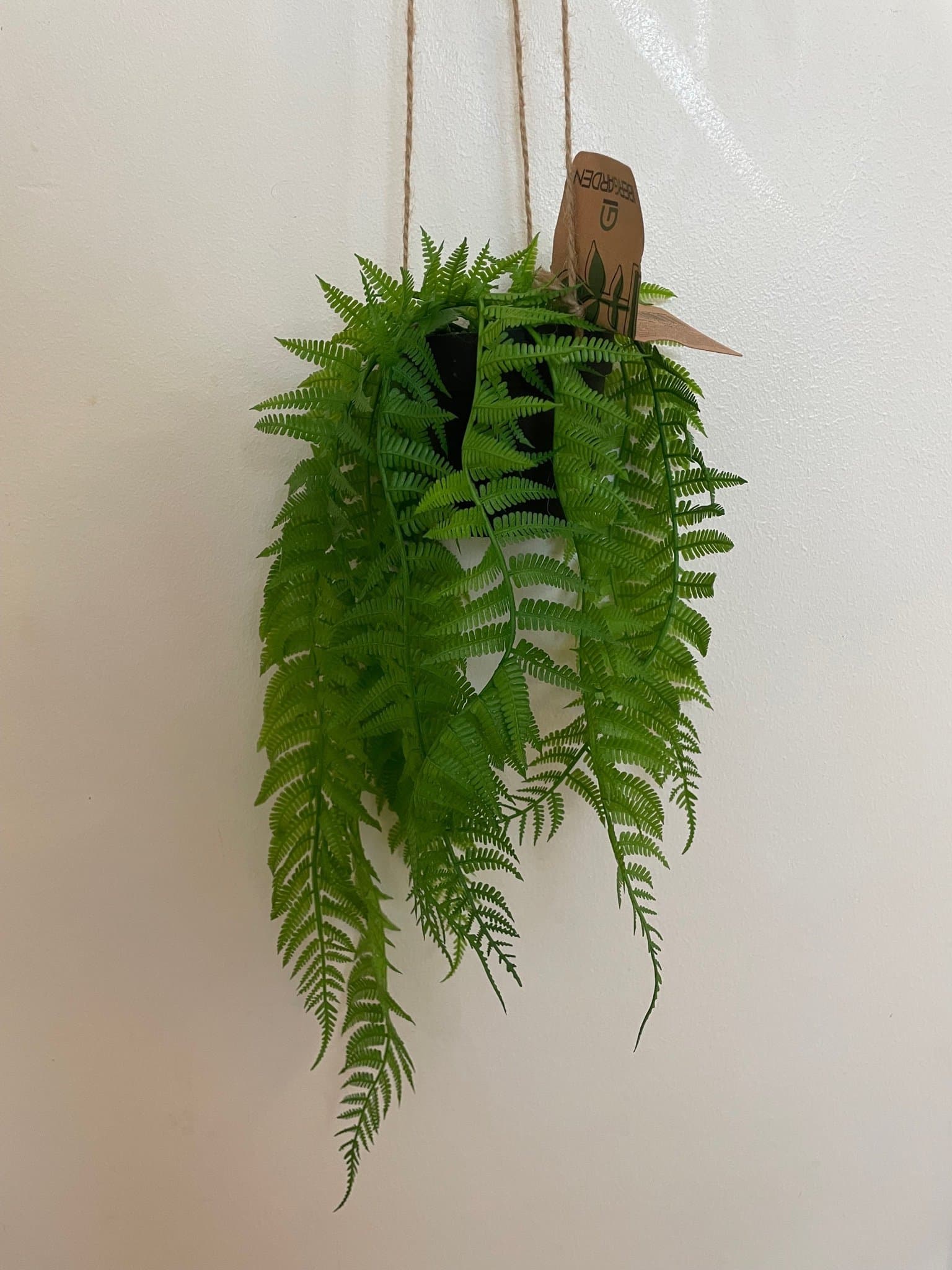 Hängande konstgjord ormbunke