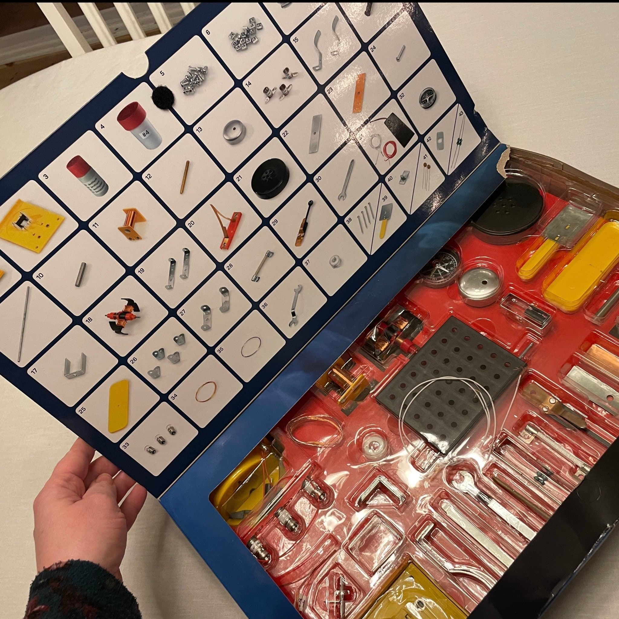 Alga science 101 experiment