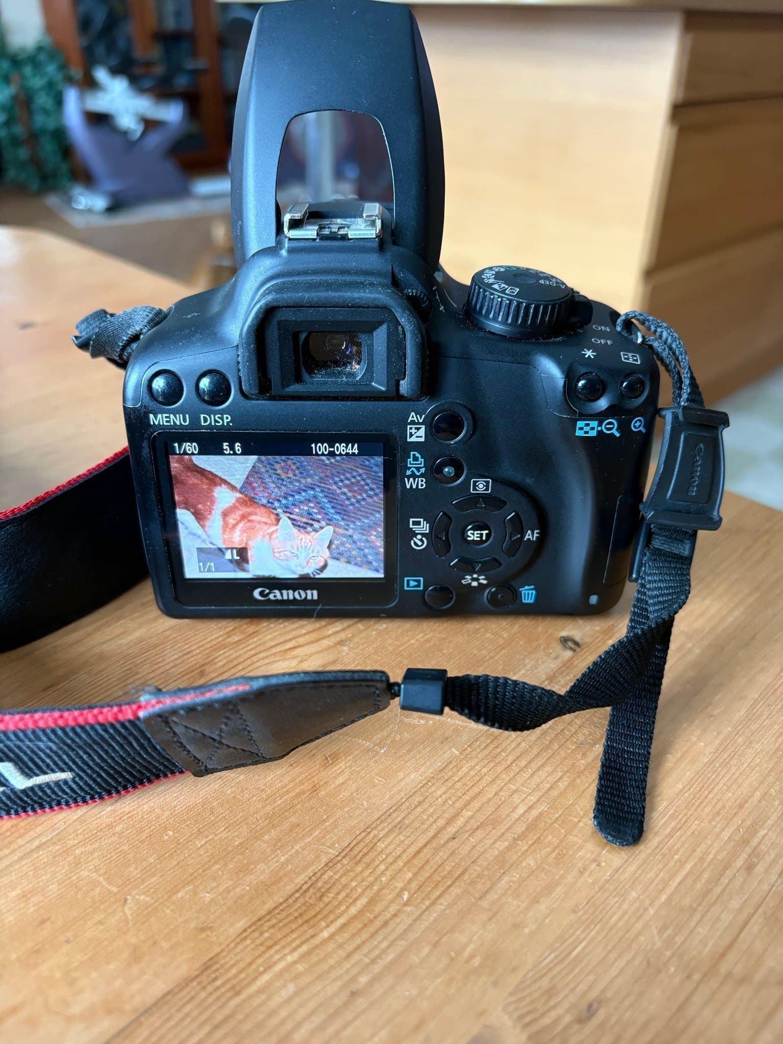 Canon EOS 1000D systemkamera med EF-S 18-55mm objektiv