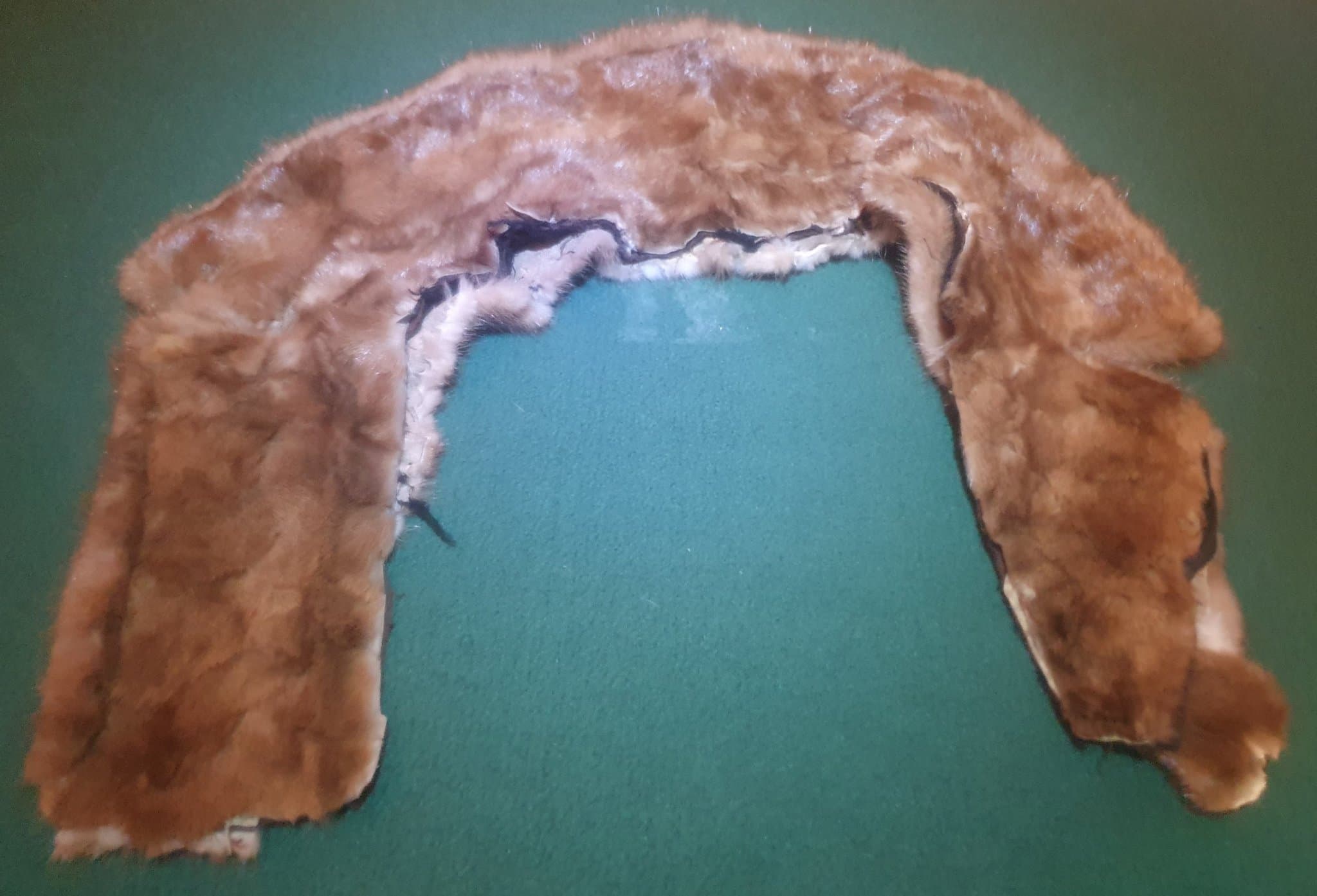 Brun pälskrage från 40-50 talet (antagligen kanin)med brunt sammetstyg.
