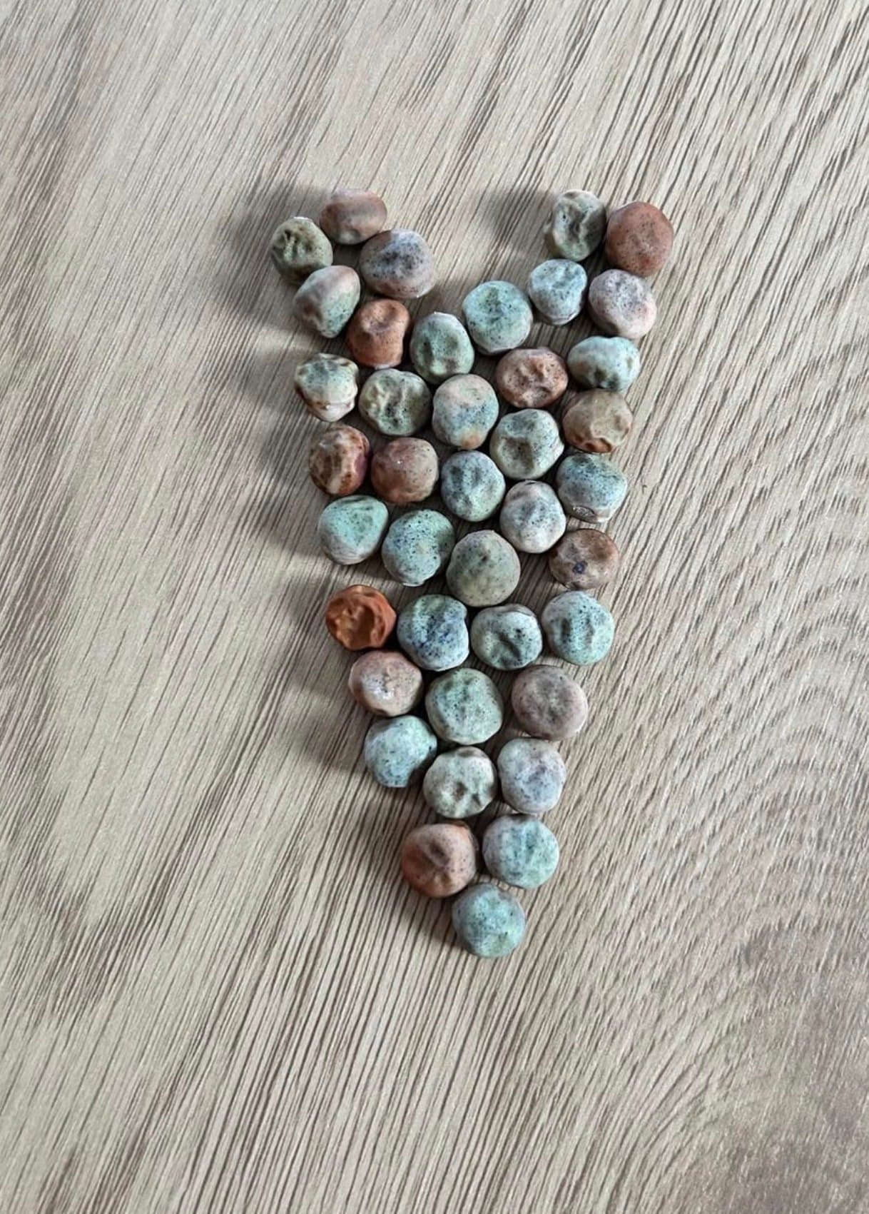 Sockerärt Lokförare Bergfälts Jätteärt 20stycken