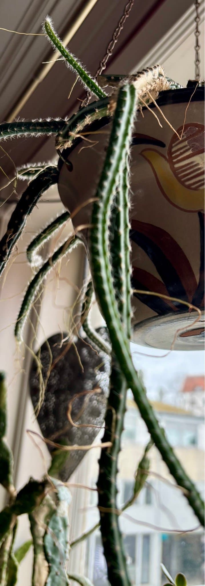 Nattens drottning / Queen of the Night – stickling