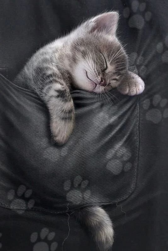 Tygpåse med kattmotiv. Helt ny i förpackning!