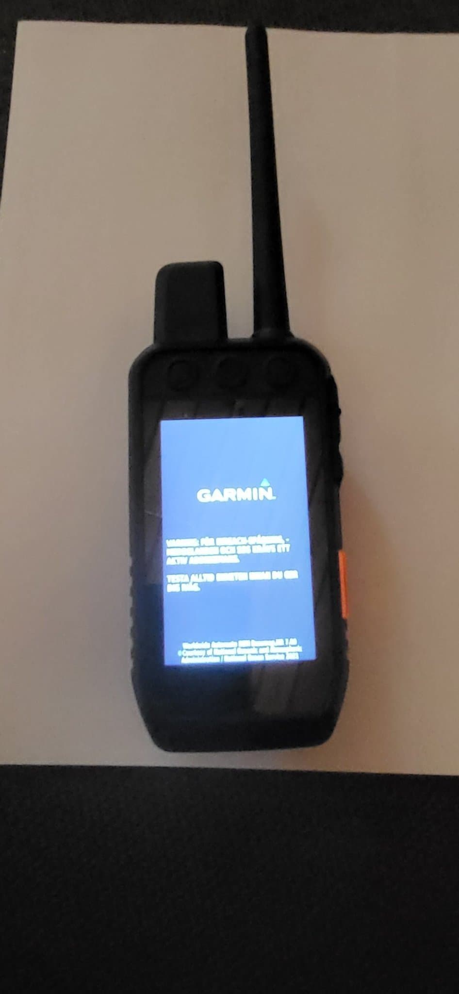 Garmin300i
