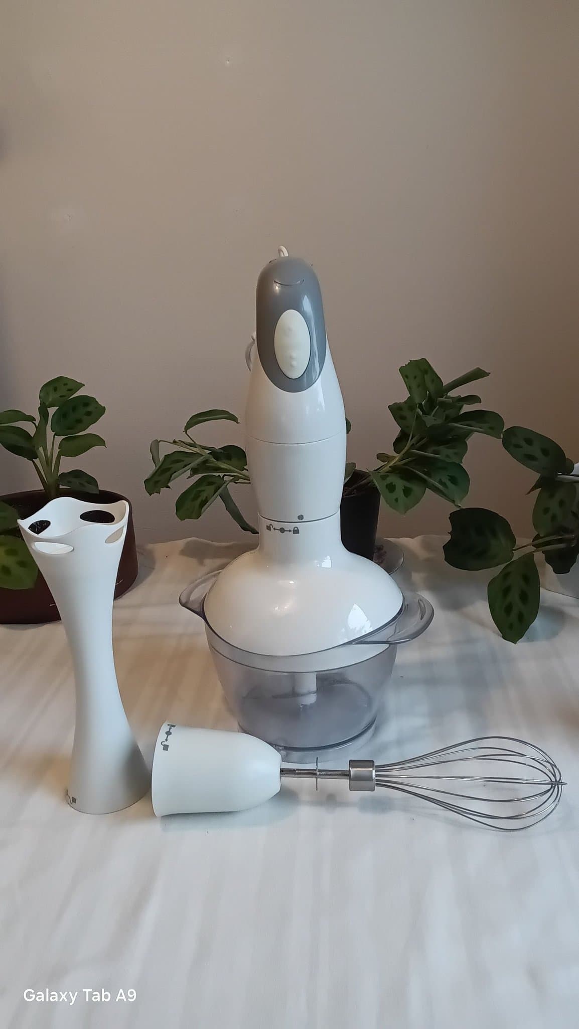 Adexi stavmixer med tillbehör