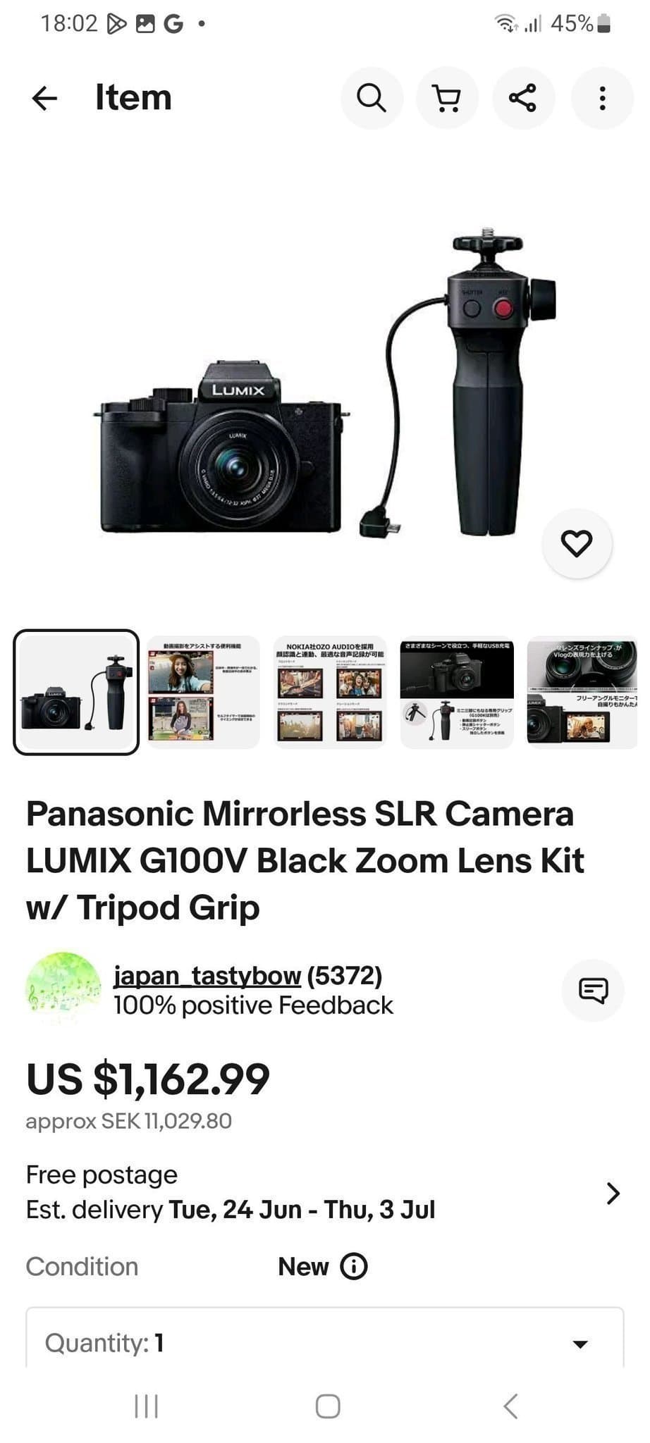 Panasonic Lumix DC-G100V