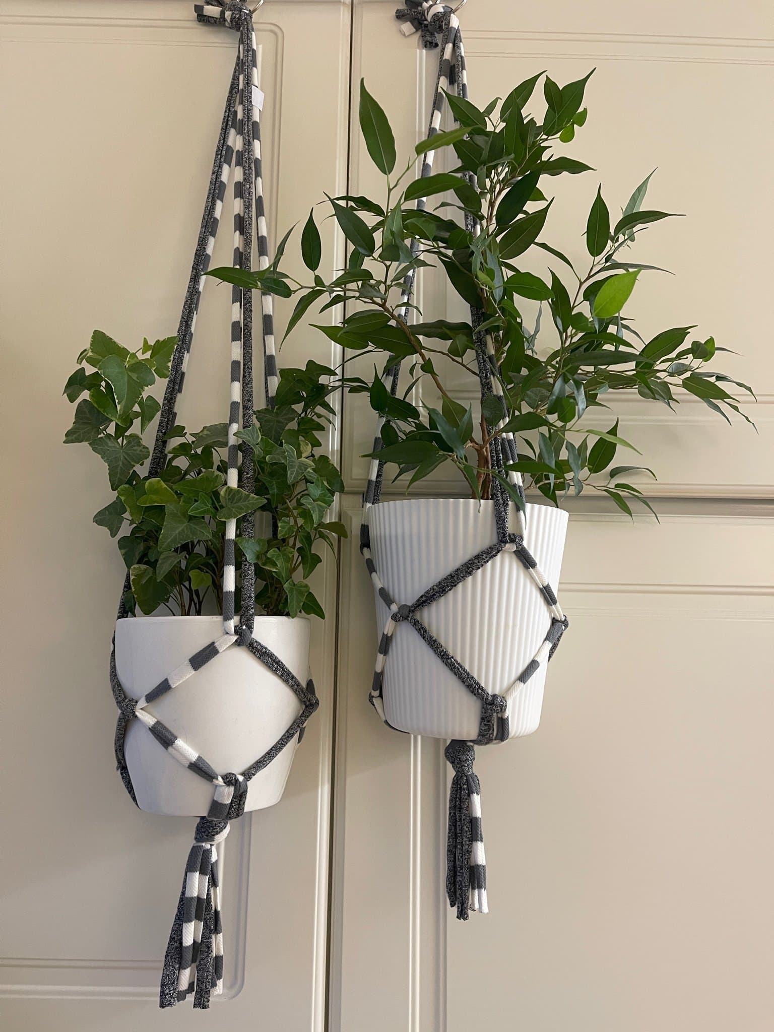 Amplar för blomkrukor (13-15 cm) gråa, makramé, växt, plants