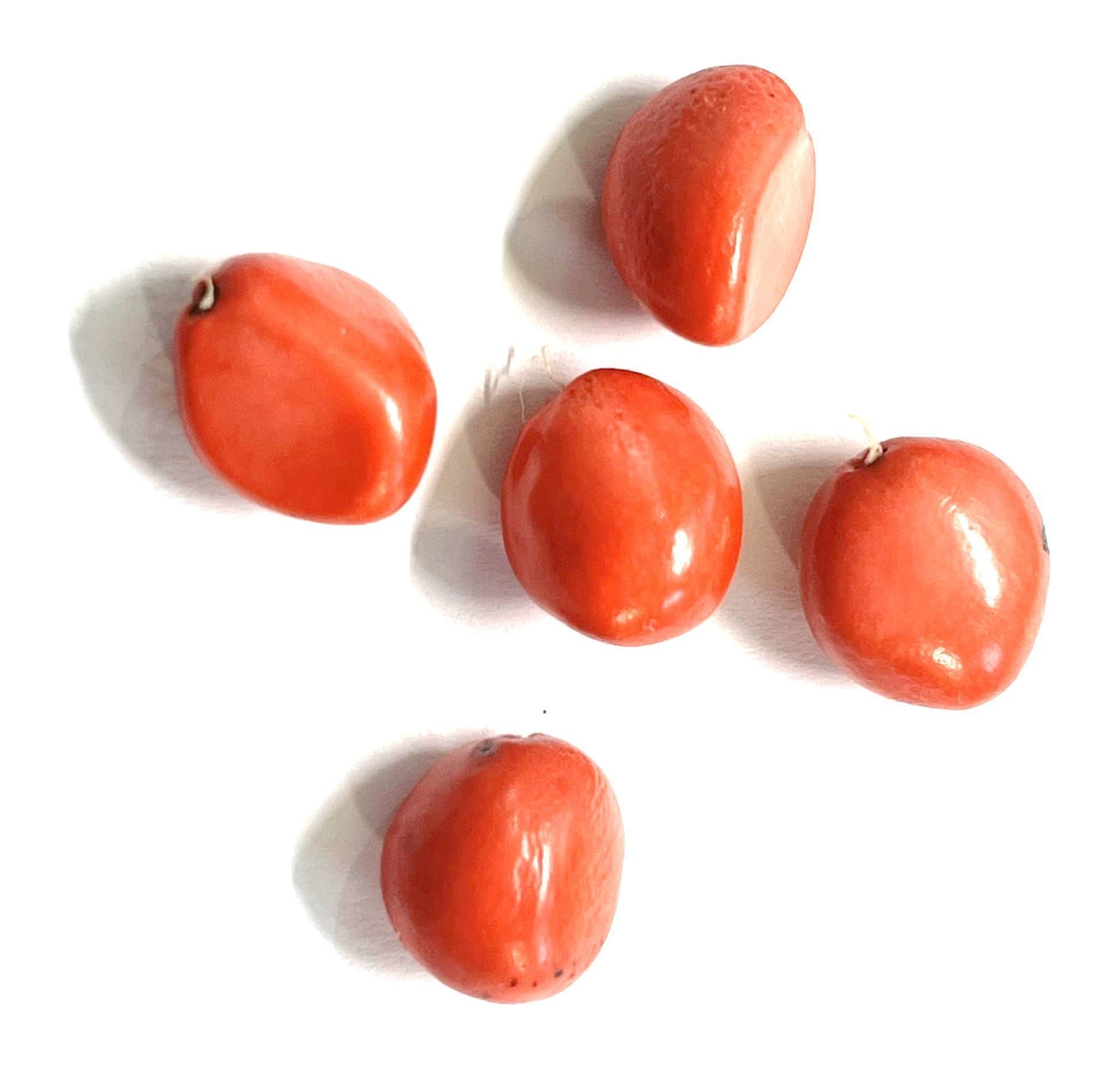 Junimagnolia – 5 frön (Magnolia obovata)