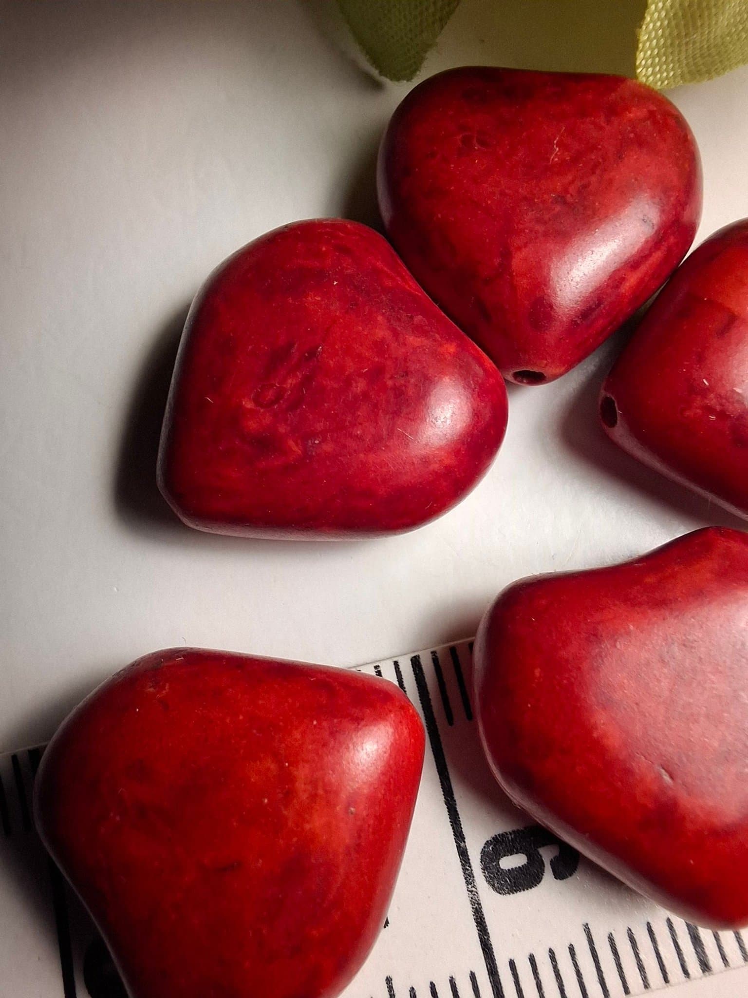 Äkta Svampkorall, stenpärlor.