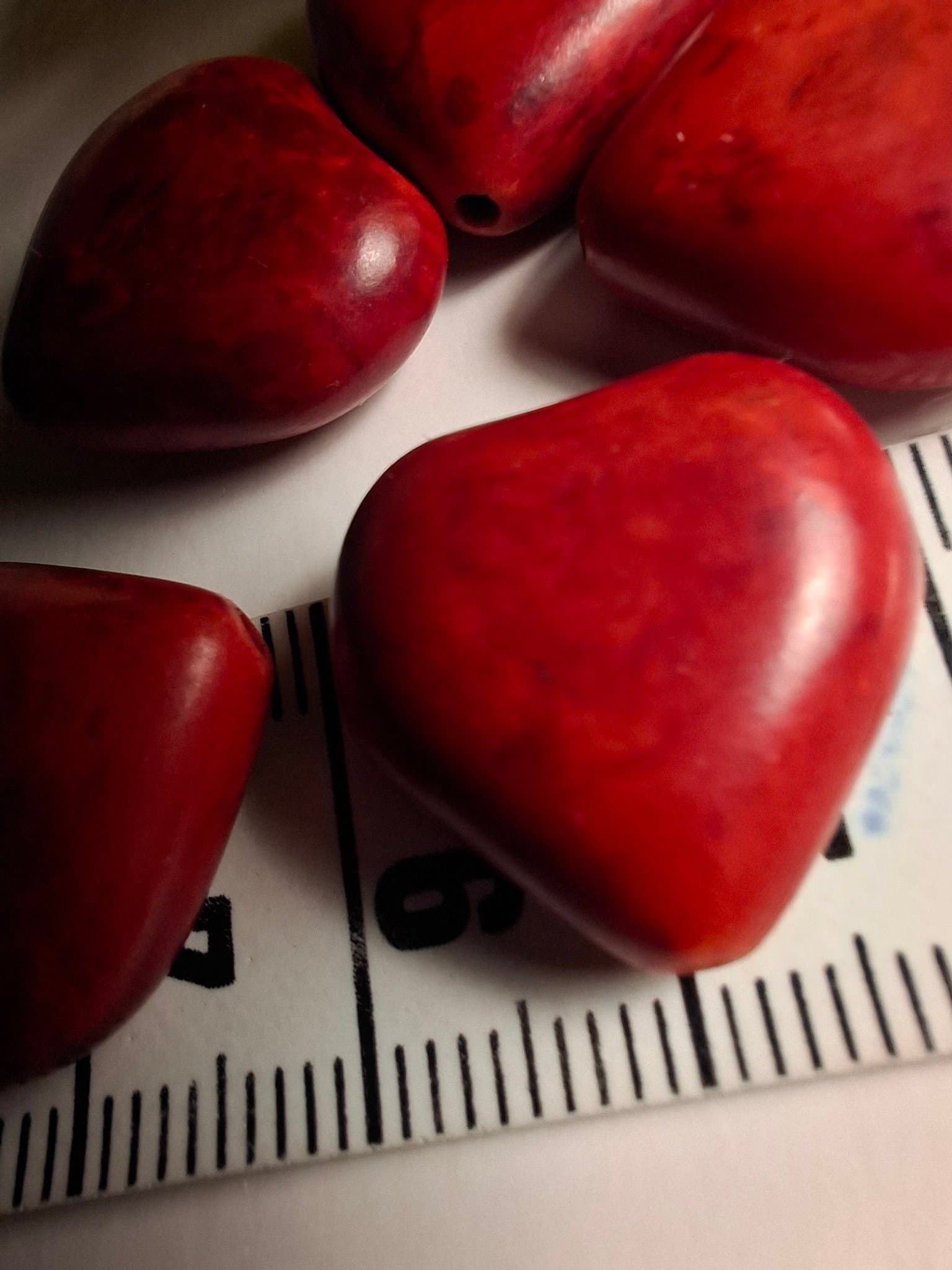 Äkta Svampkorall, stenpärlor.