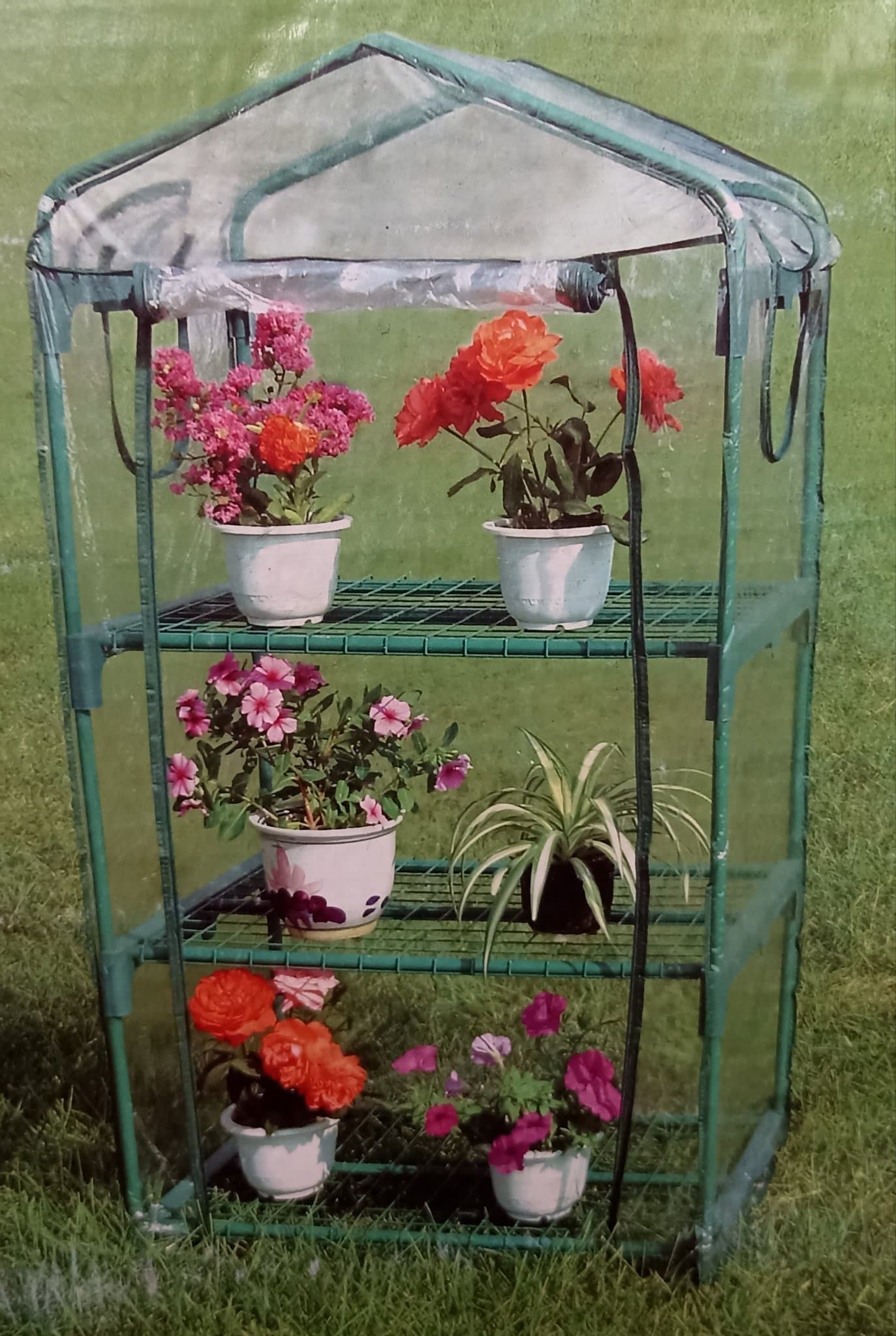 Växthus 69Lx49Bx125H cm