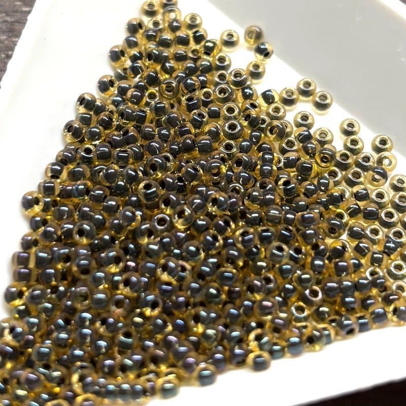 100g Seed beads (ca 10000st)