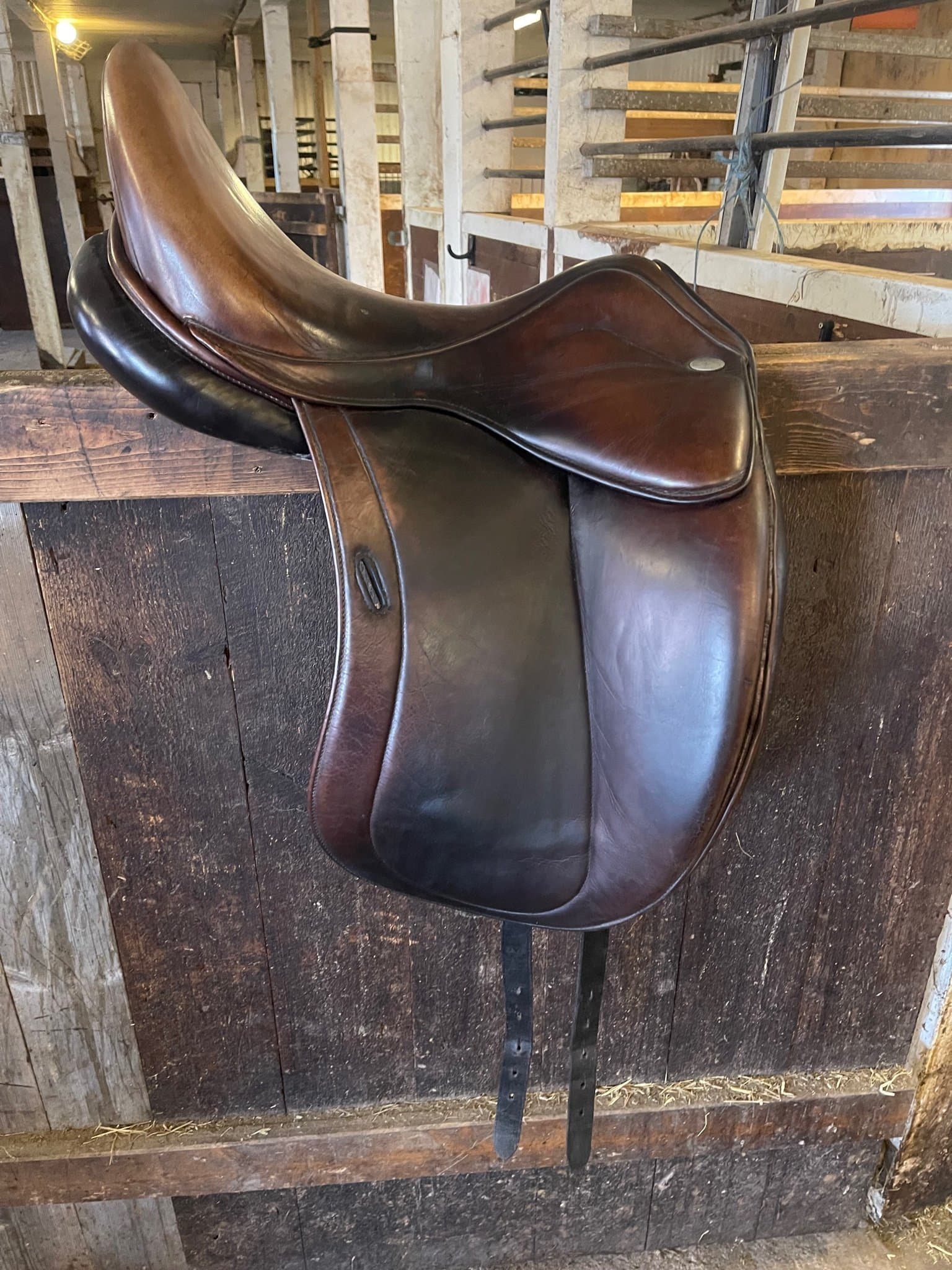 Santa Cruz Leopold 17,5 Wide