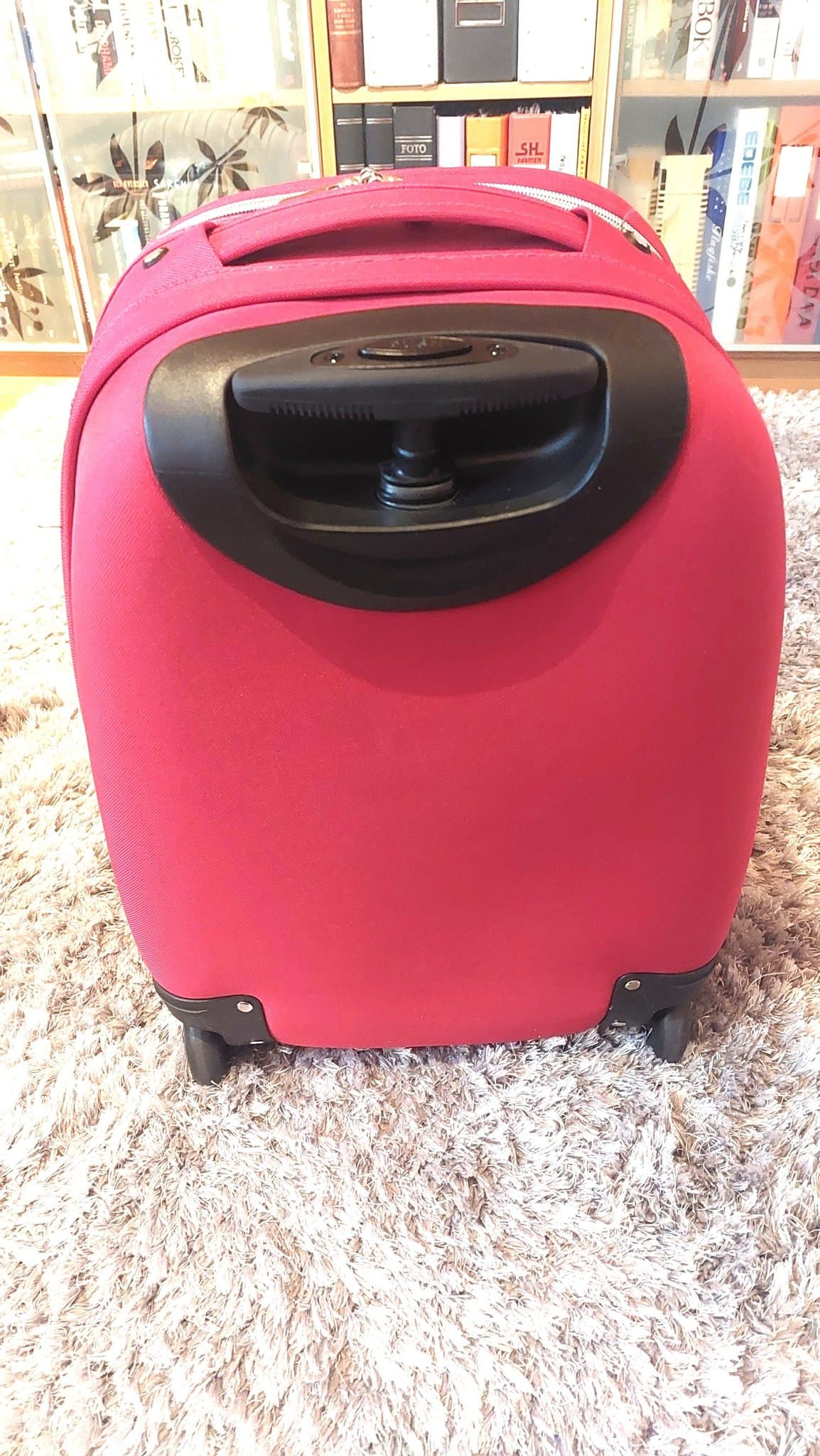 Cabinväska Vienesse