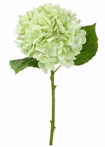 Hortensia plastblomma