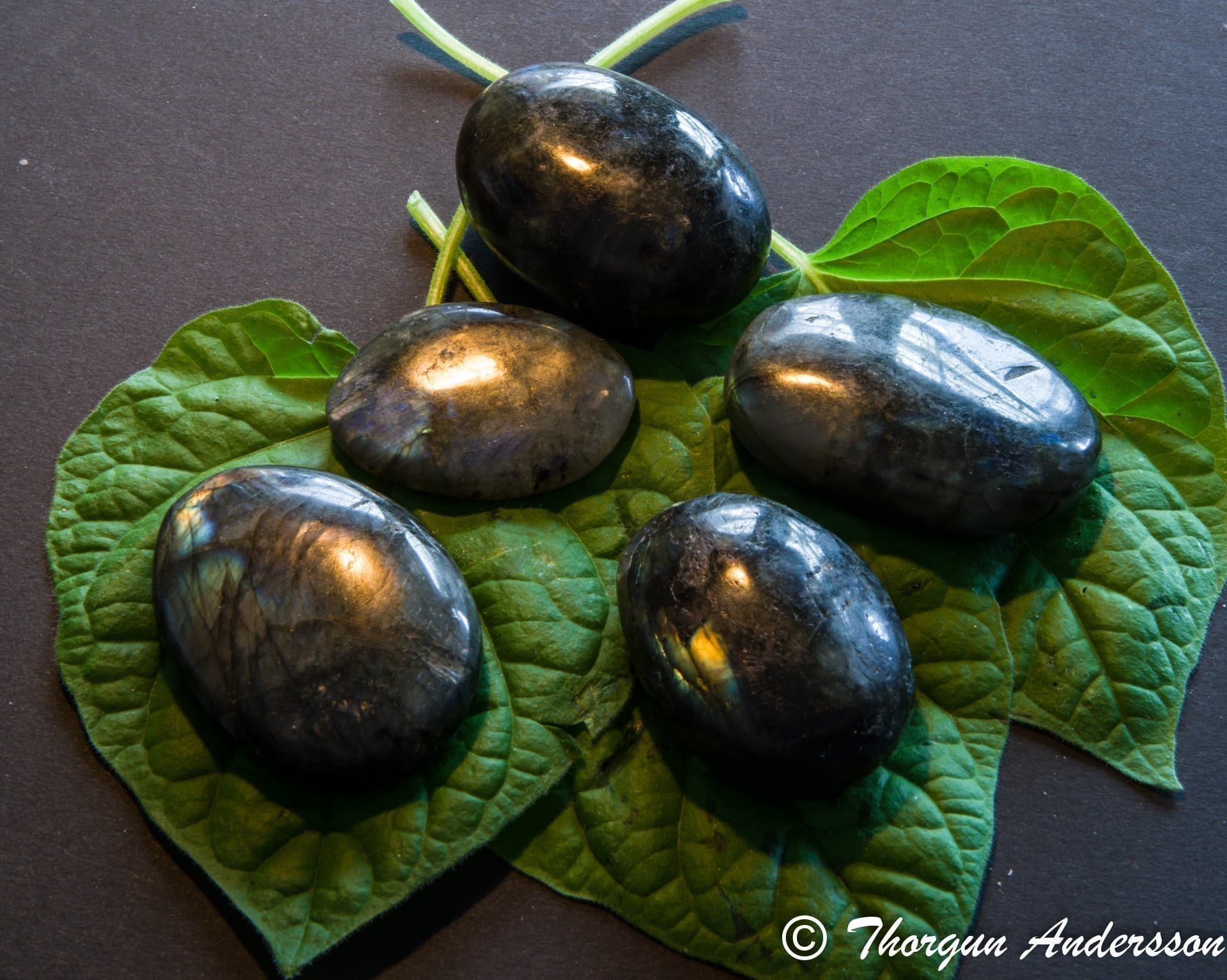 1 mindre polerad handsten i Labradorit, vikt ca 20-30 gram handsten palmstone