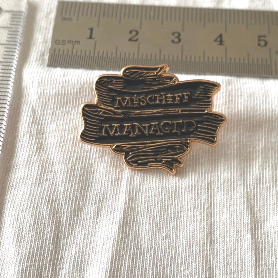 Gryffindor Magic Pin Harry Potter Hedwig