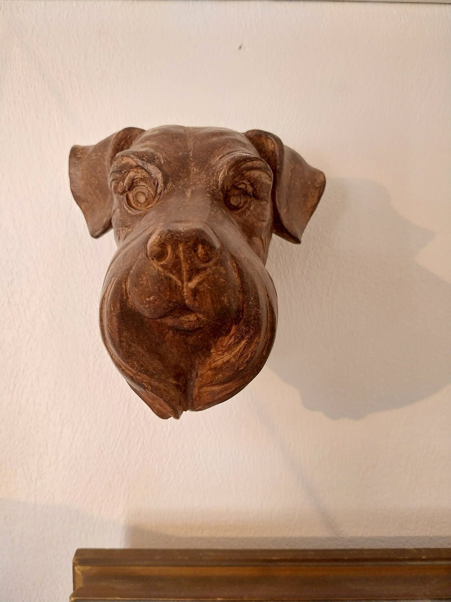 Väggdekoration / Koppelhållare - Hundhuvud, Hund