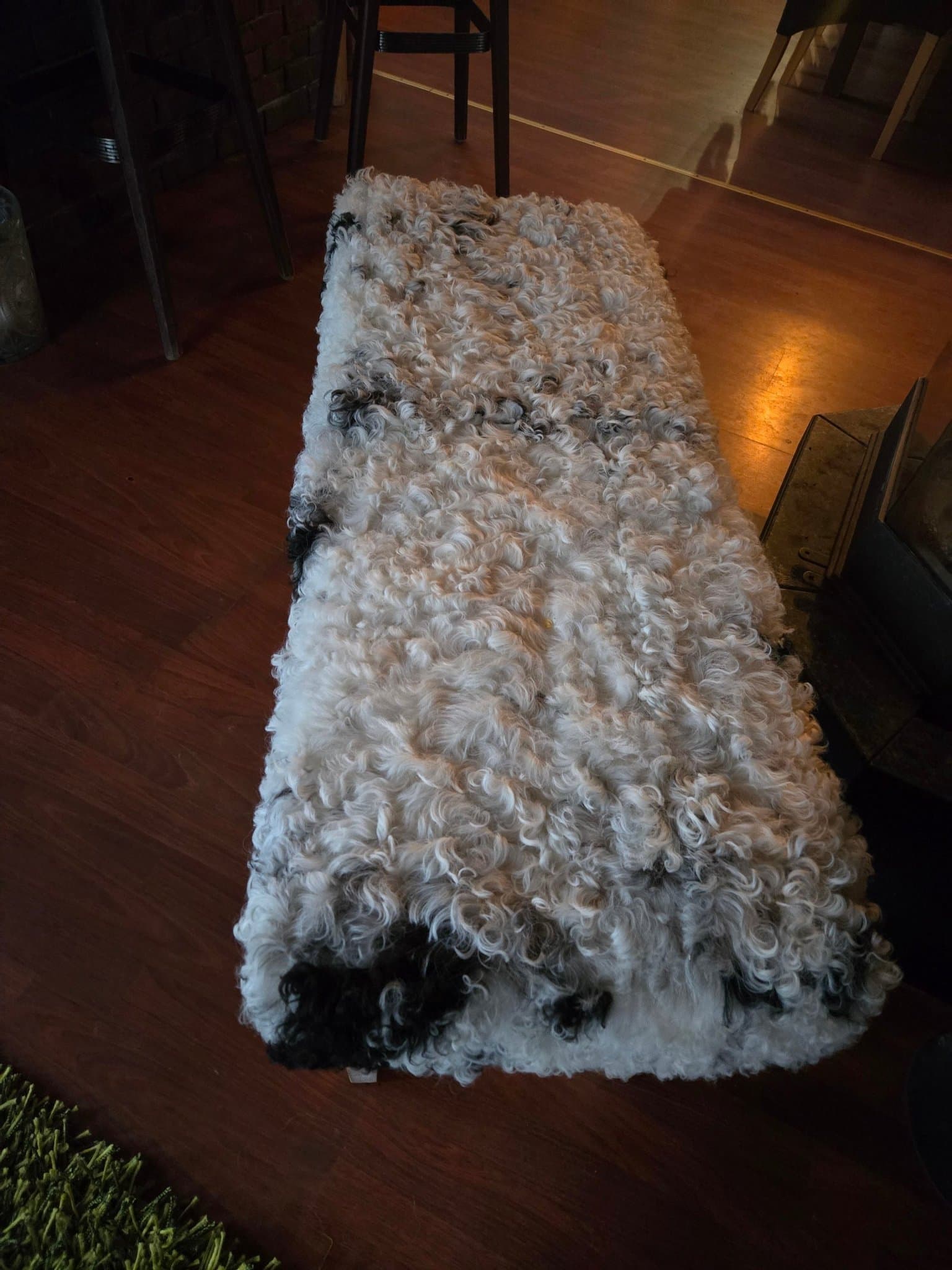 Bänk i getskinns överdrag