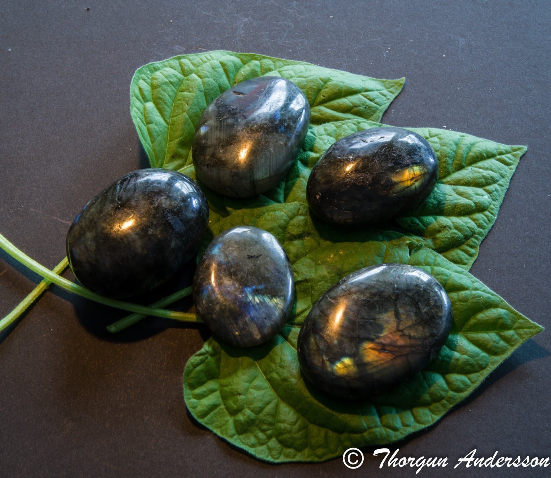 1 polerad handsten i Labradorit, vikt ca 55-70 gram handsten palmstone