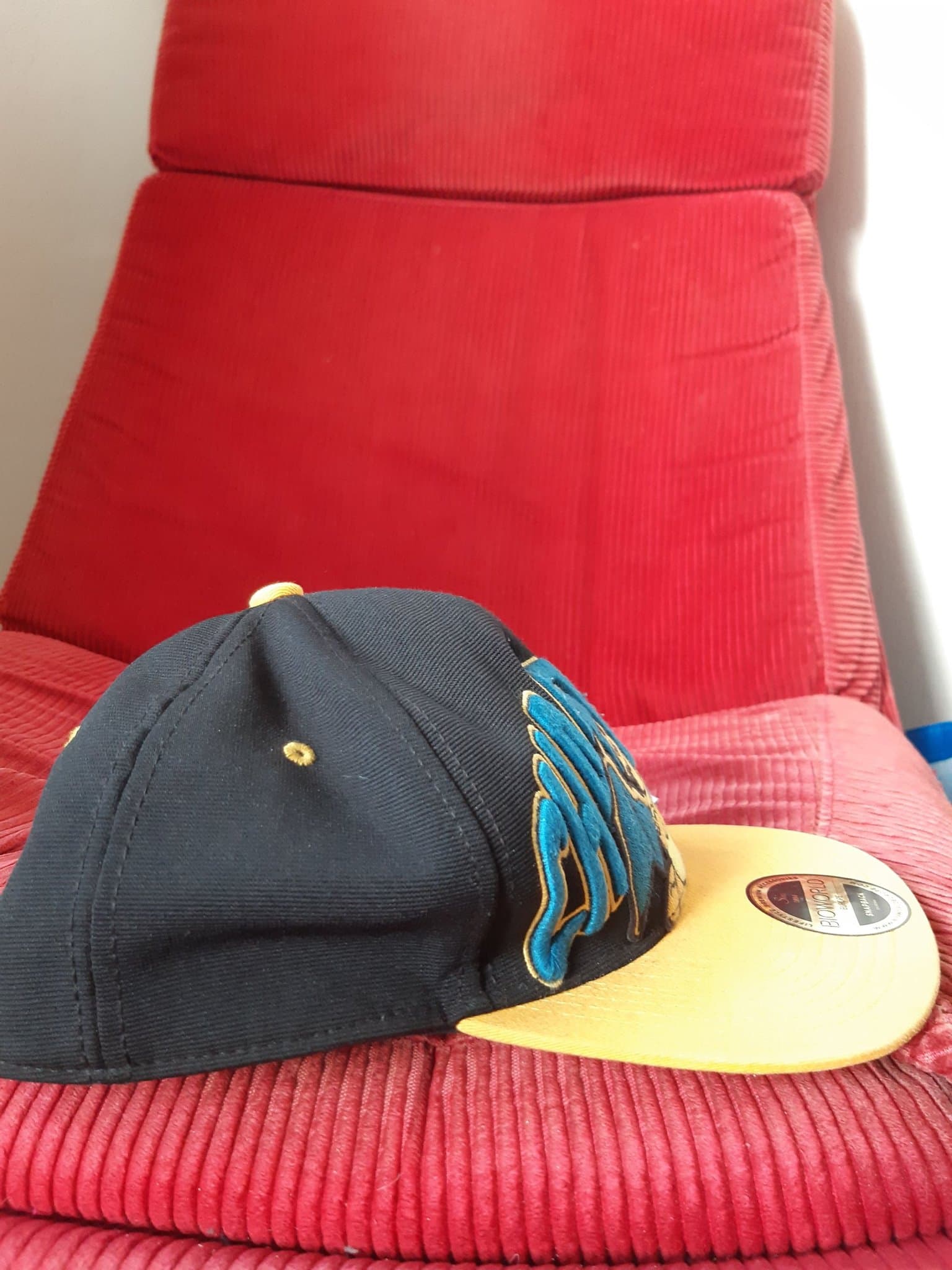 Pokémon Charizard Snapback-keps – Bioworld (2016) – Officiell Merchandise