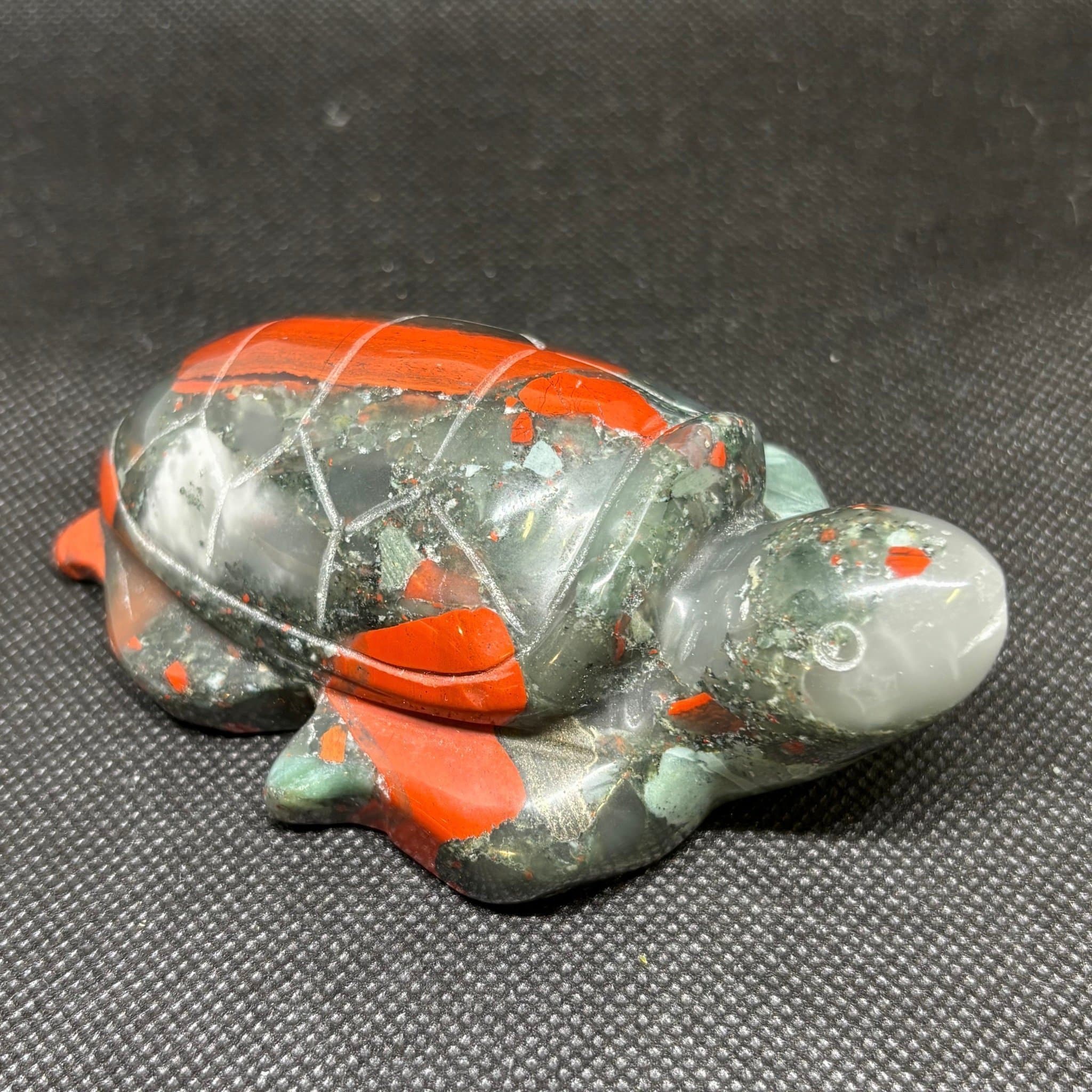 Sköldpadda afrikansk blodsten