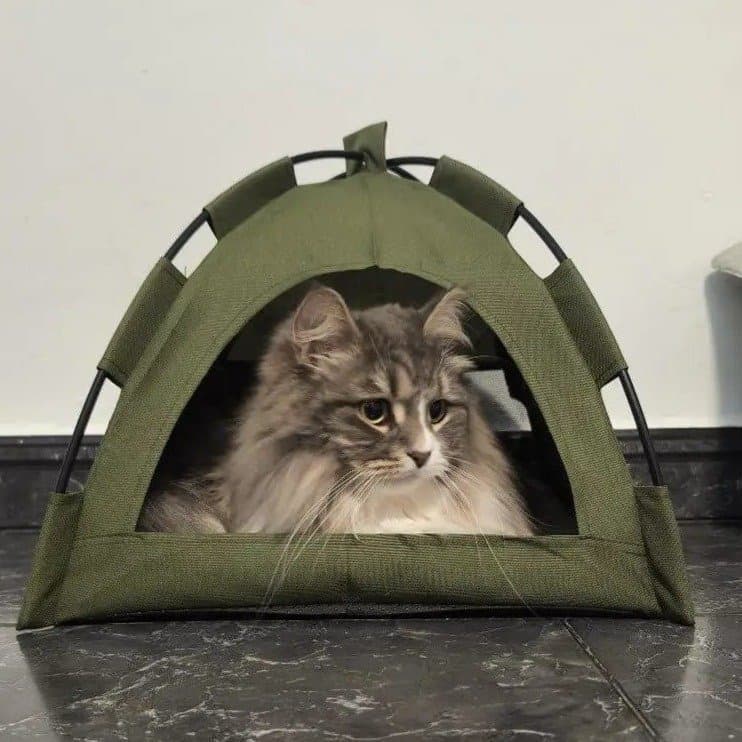 [Ny] Litet Kattält Hundtält Tält Husdjur Katt Hund 35 x 35 cm Hundbädd Kattbädd