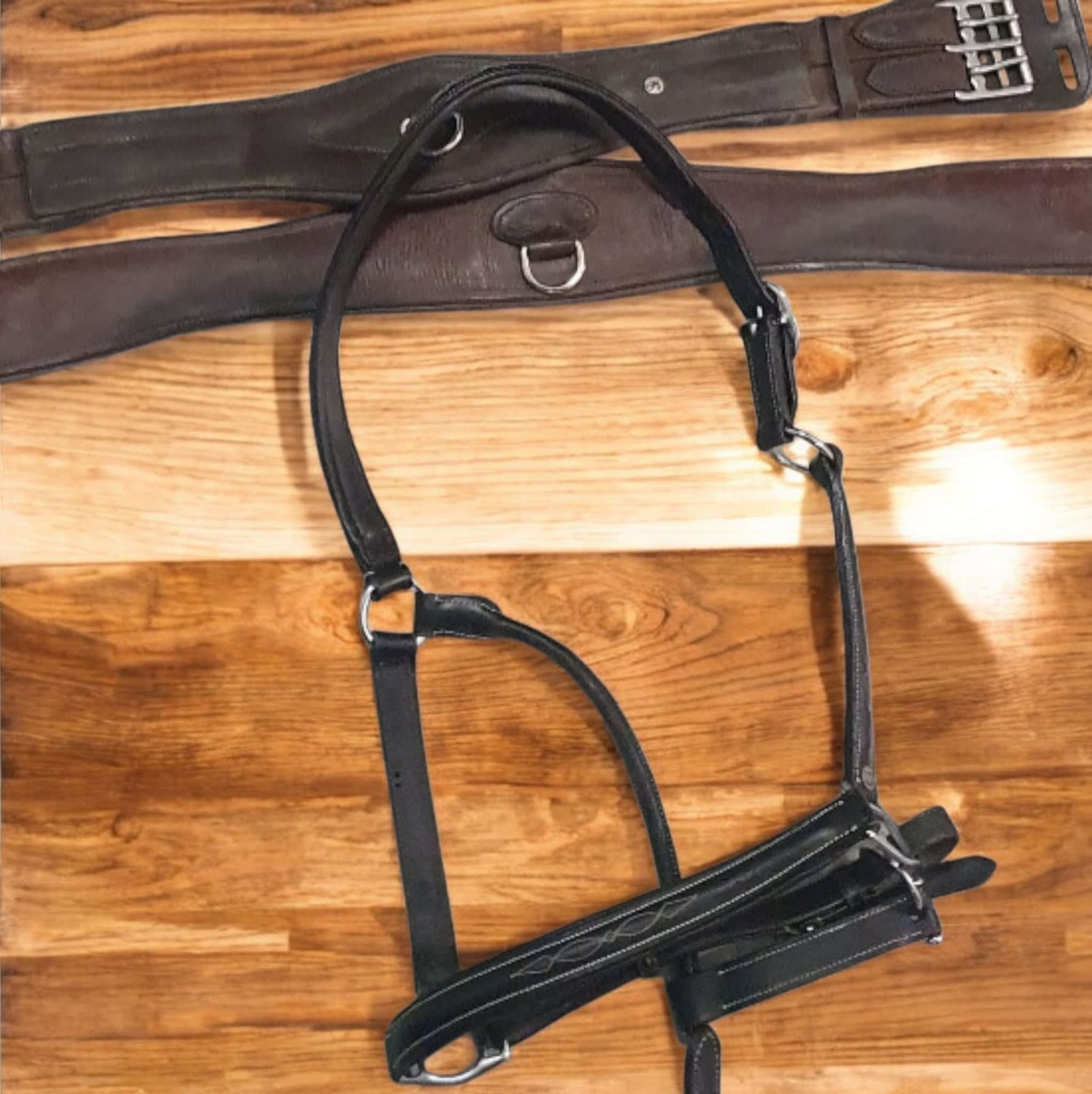 Hästutrustning: Sadelgjordar och Träns, läder