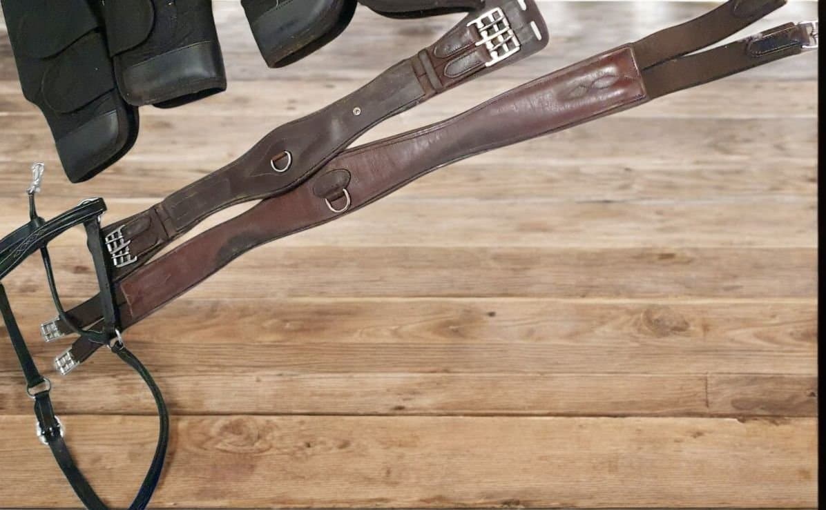 Hästutrustning: Sadelgjordar och Träns, läder