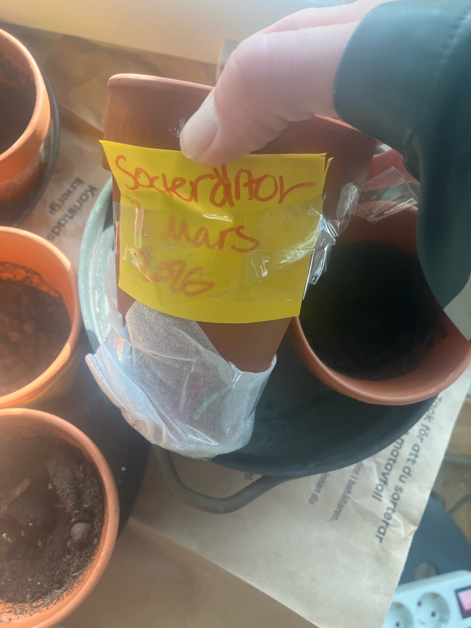 Sockerärtor Mars