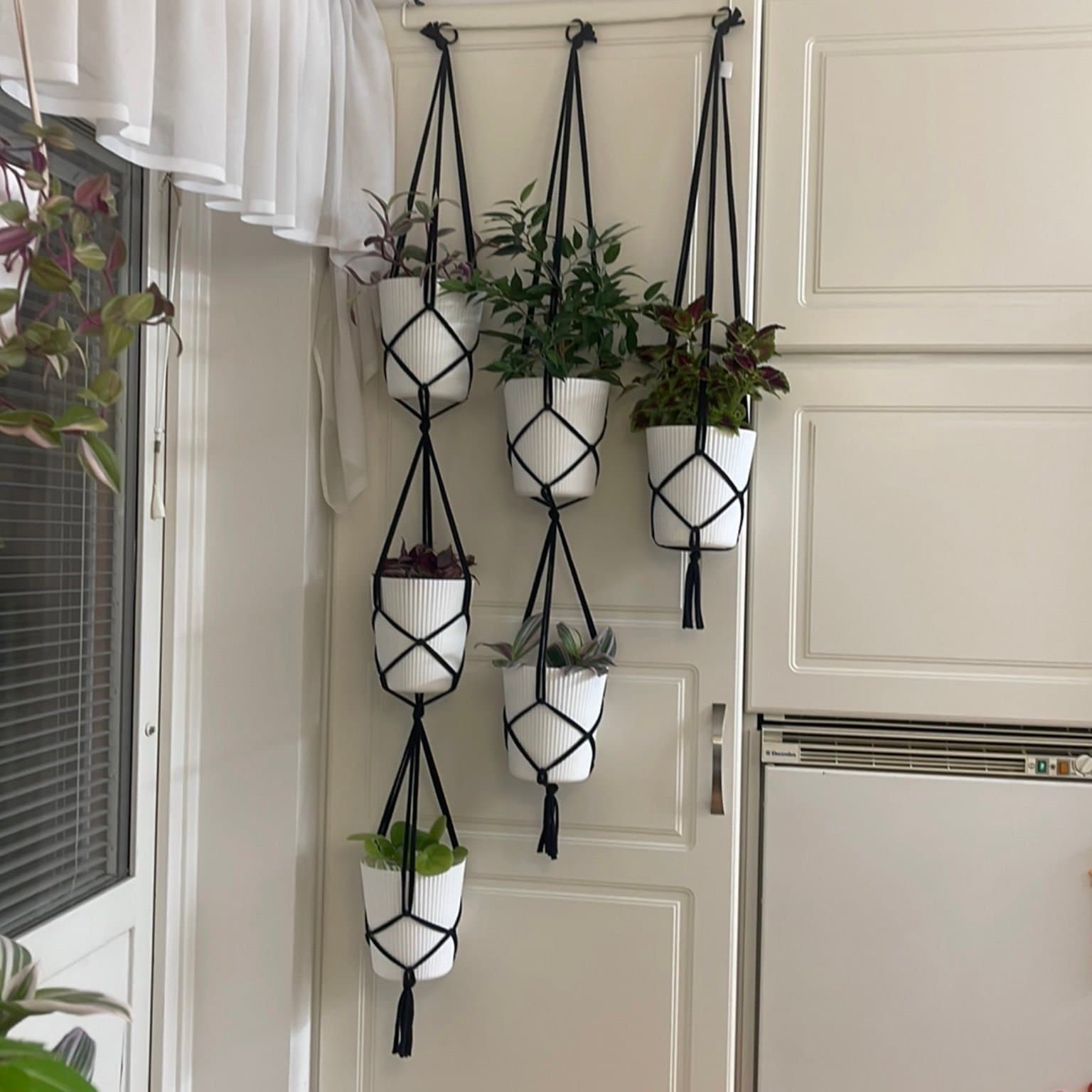 Tre styck amplar för 6 krukor/ växter, plantor (13-15 cm)