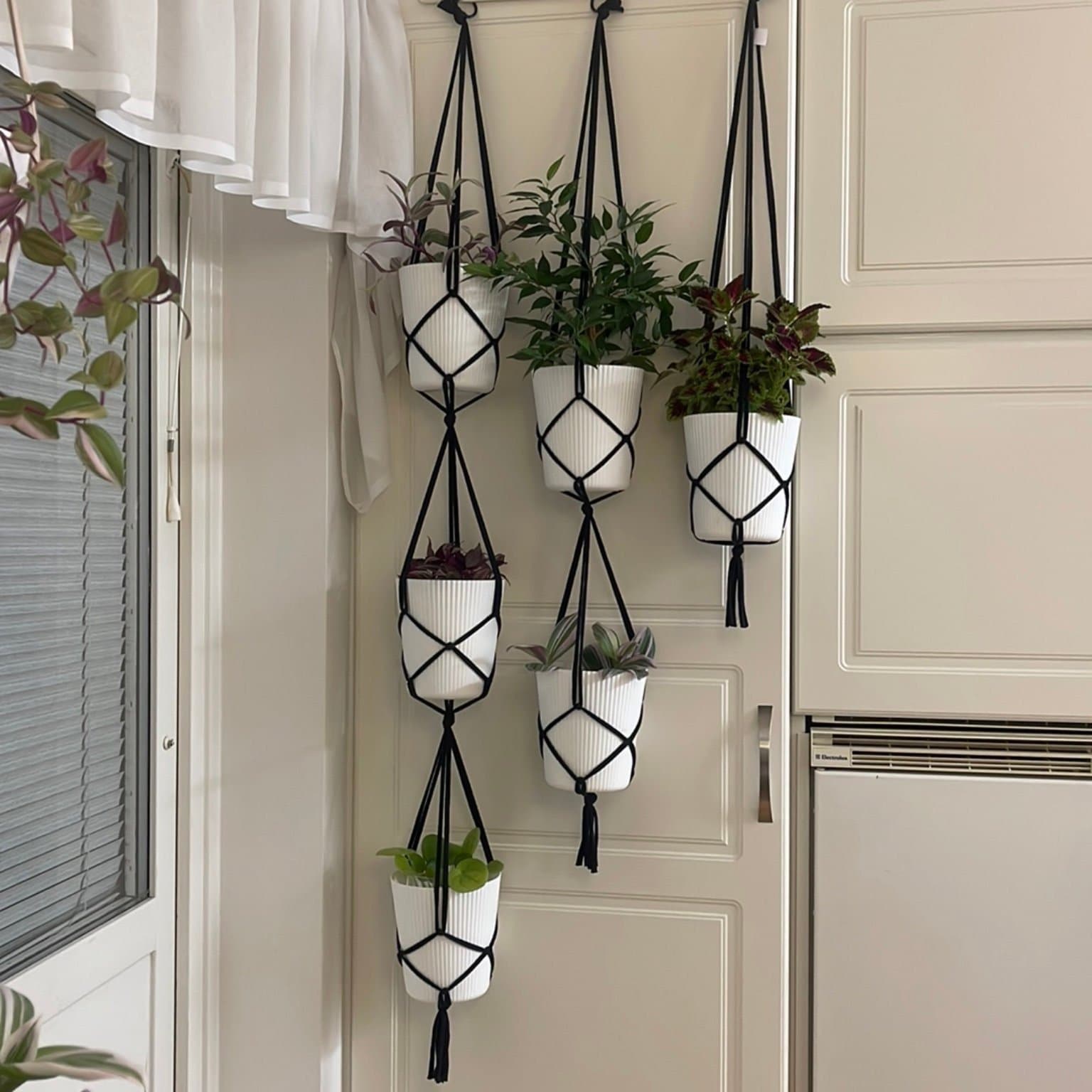 Tre styck amplar för 6 krukor/ växter, plantor (13-15 cm)