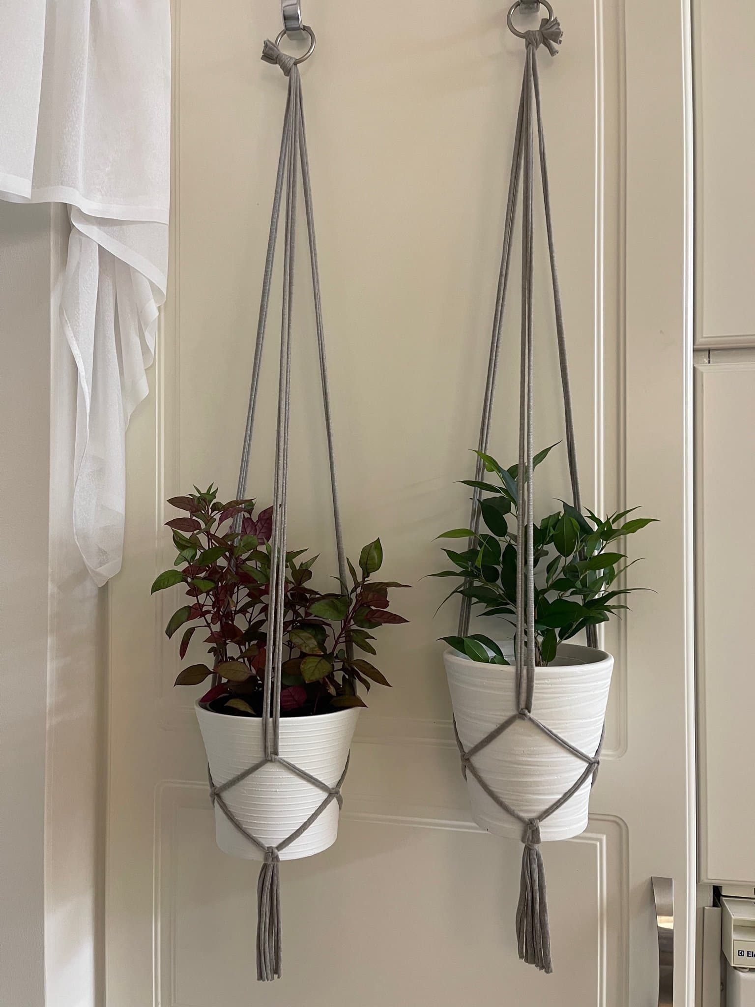 Amplar för blomkrukor (13-15 cm) gråa, makramé, växt, plants