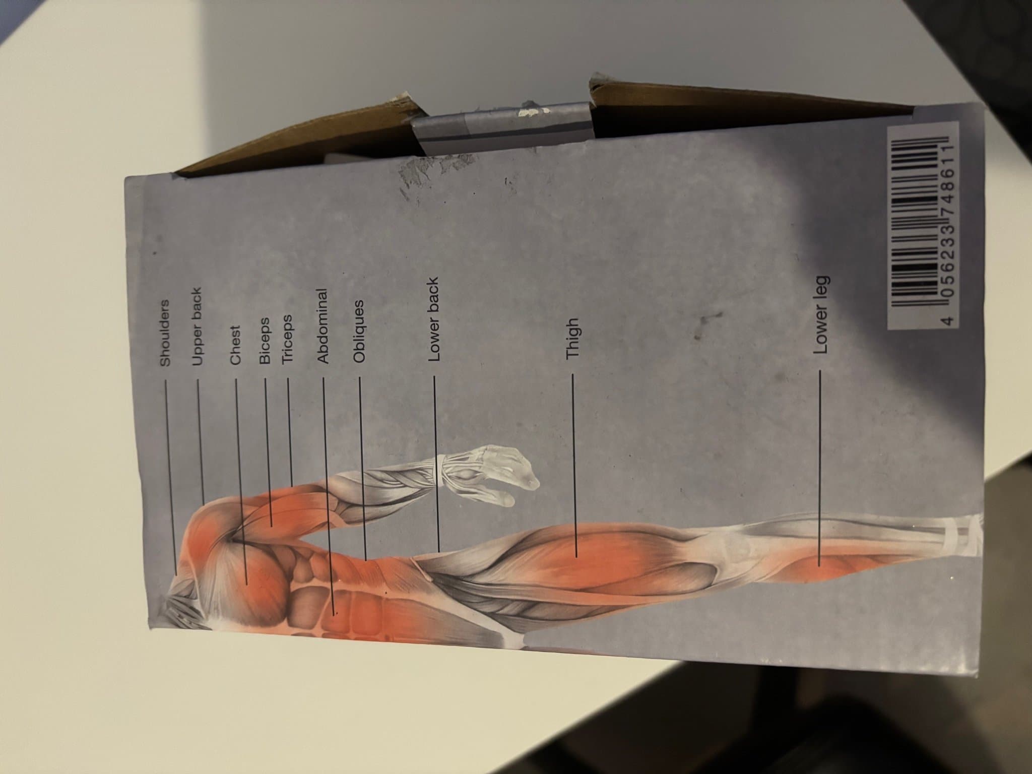 Crivit Suspension Trainer