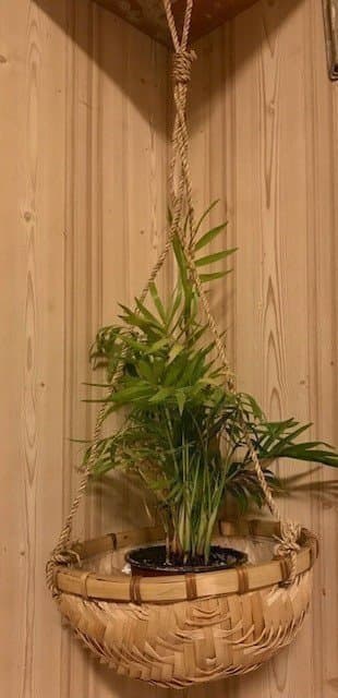 2 stycken amplar i pil/rotting